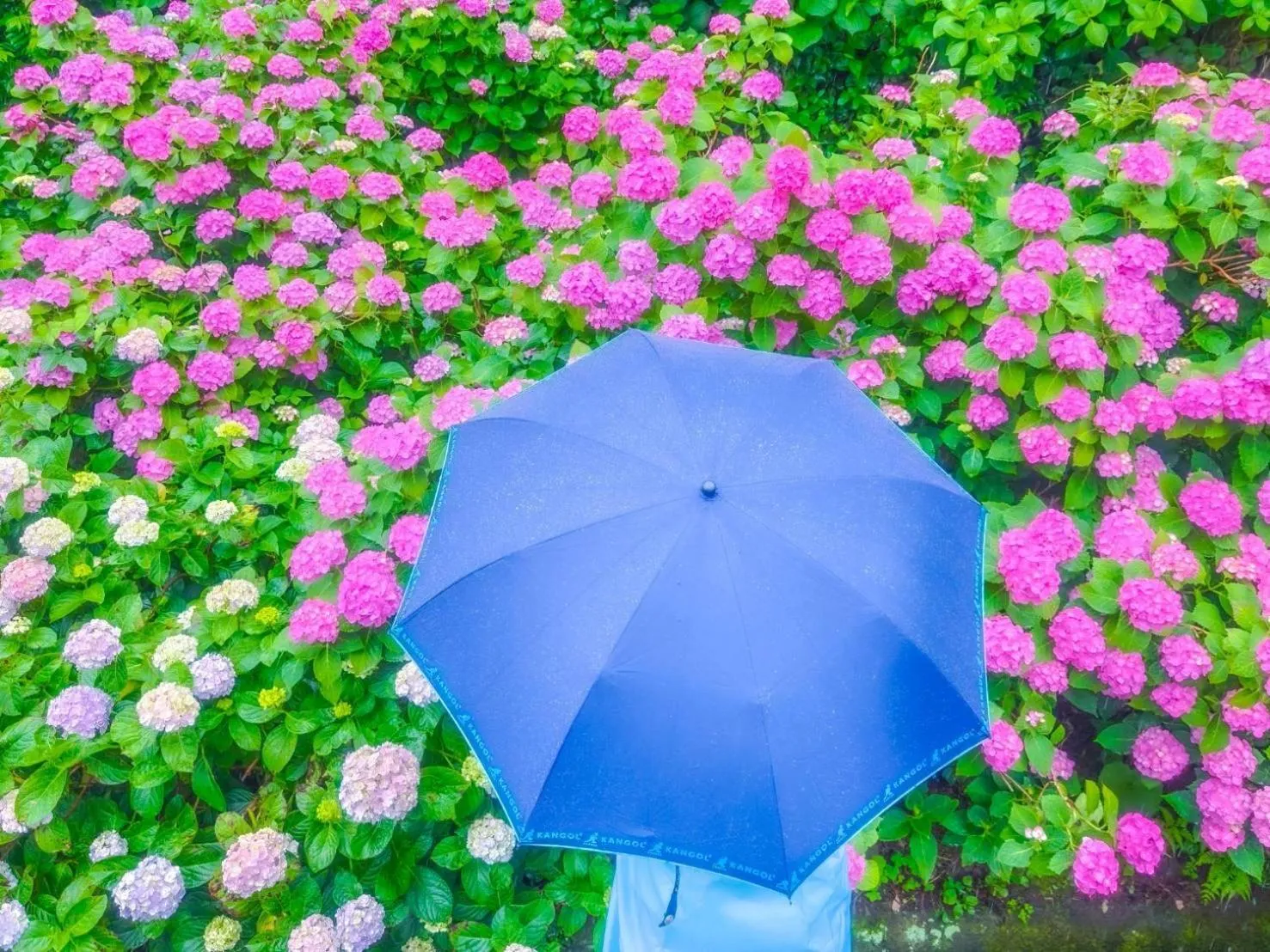 Nearby landmark in Izu Imaihama Tokyu Hotel