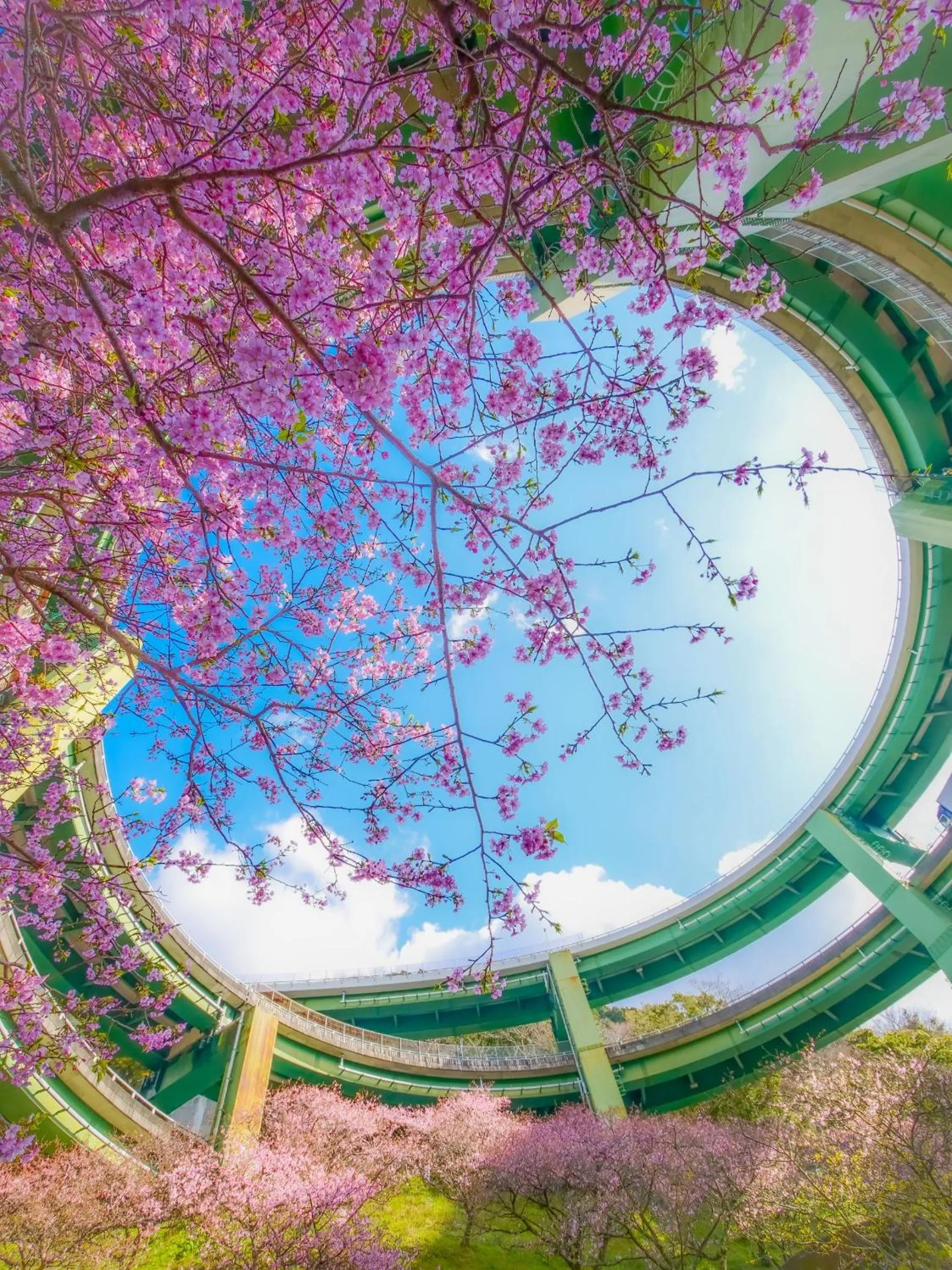 Off site in Izu Imaihama Tokyu Hotel