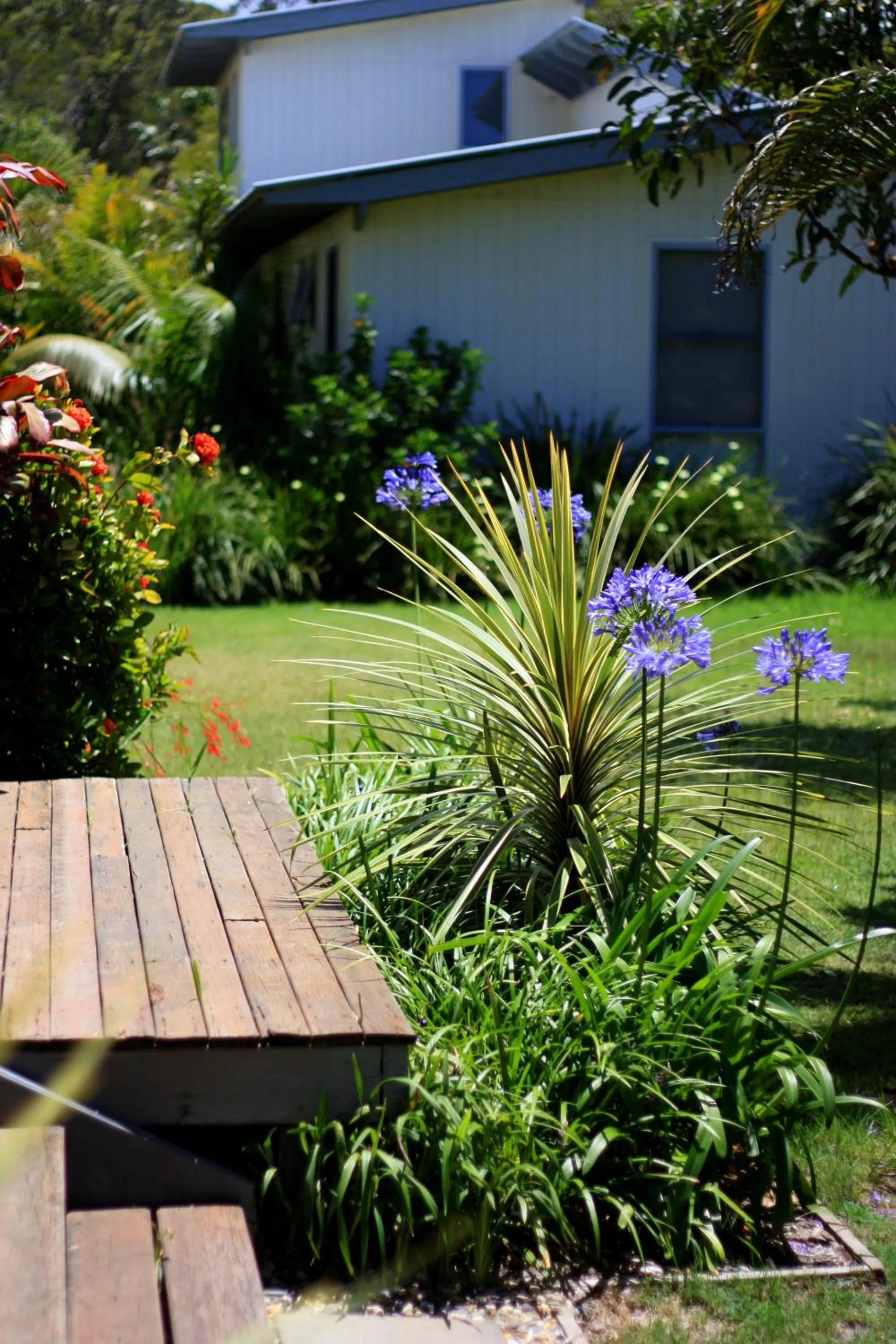 Garden in Mobys Beachside Retreat