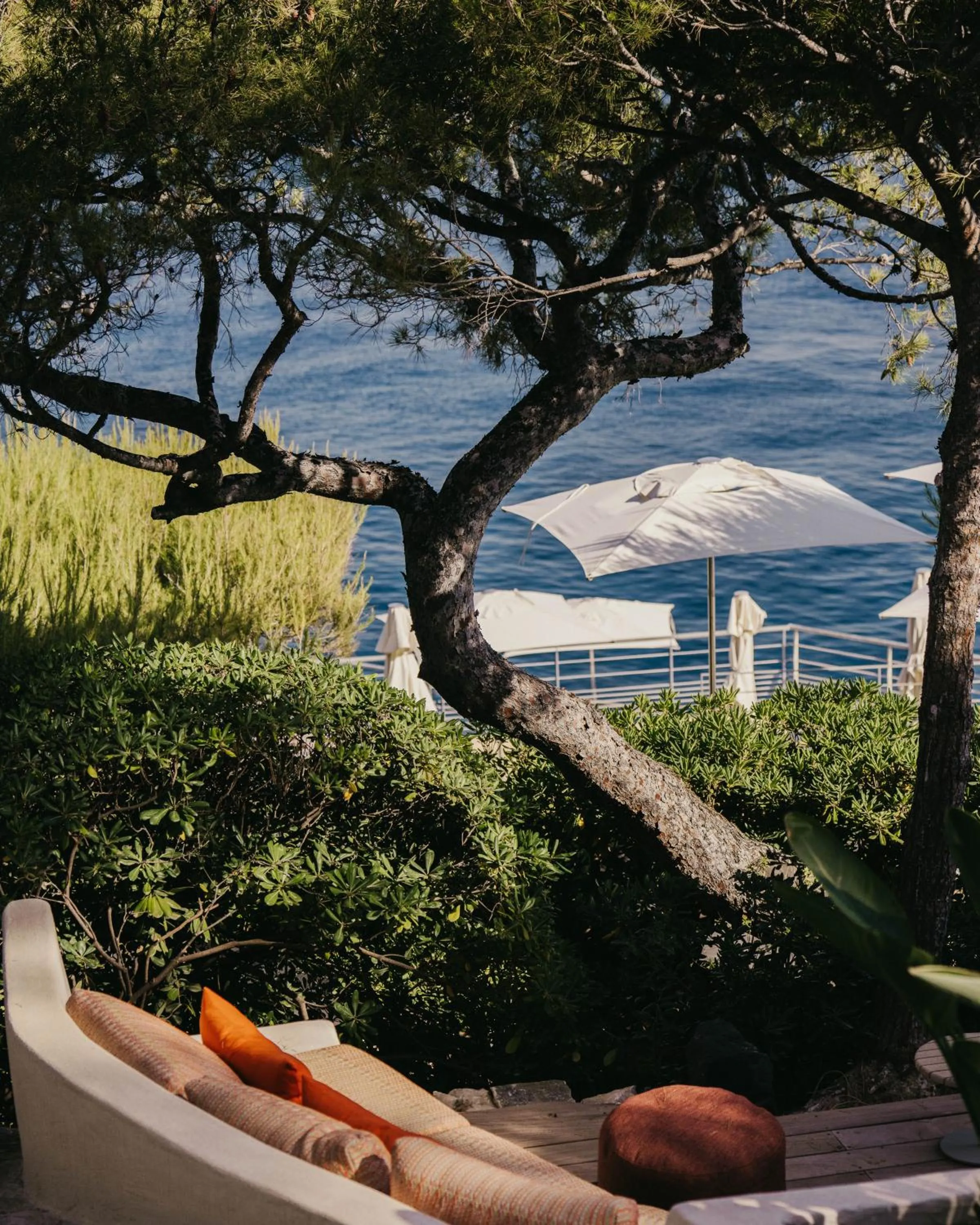 Lounge or bar in Hôtel Les Roches Blanches Cassis
