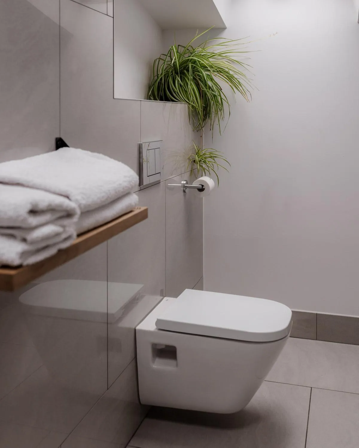 Toilet in Pałac w Małkowie