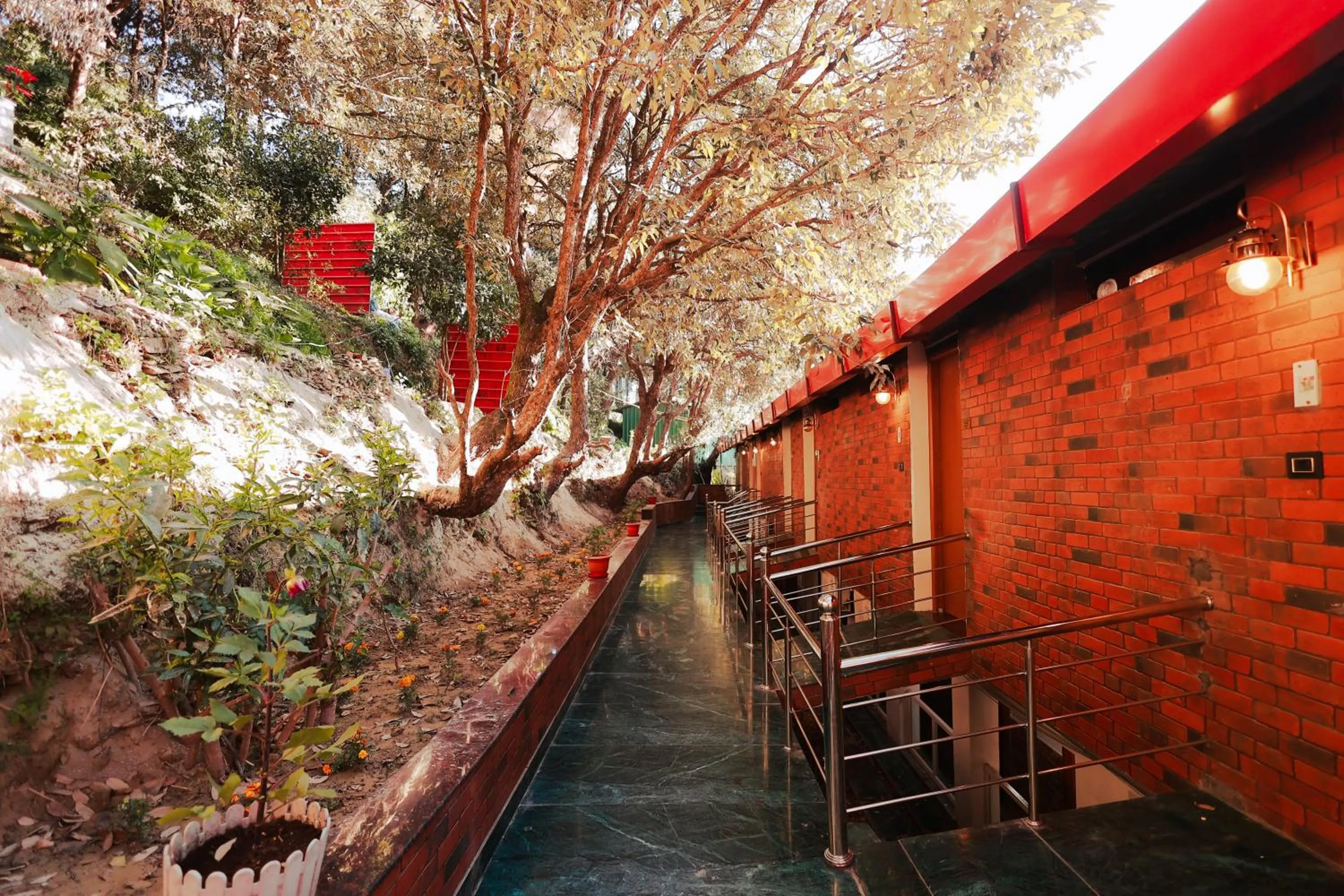 Day in Blue Pine Resort