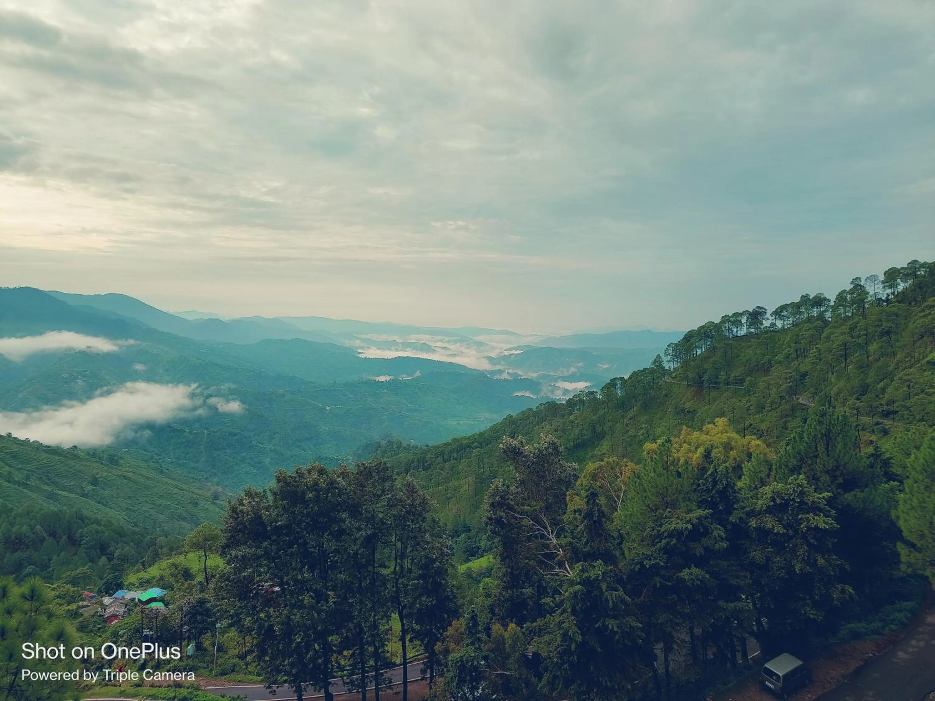 View (from property/room) in Blue Pine Resort