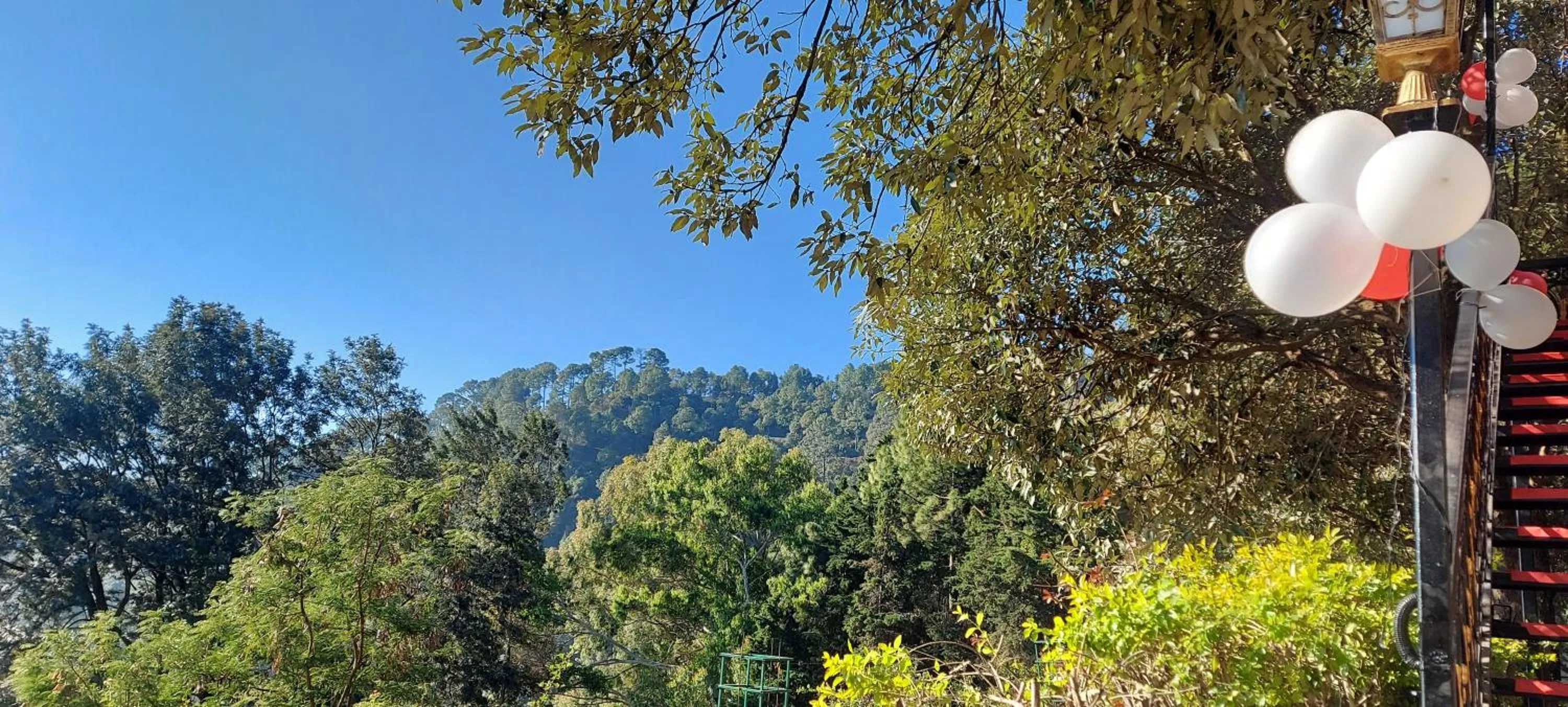 Garden in Blue Pine Resort
