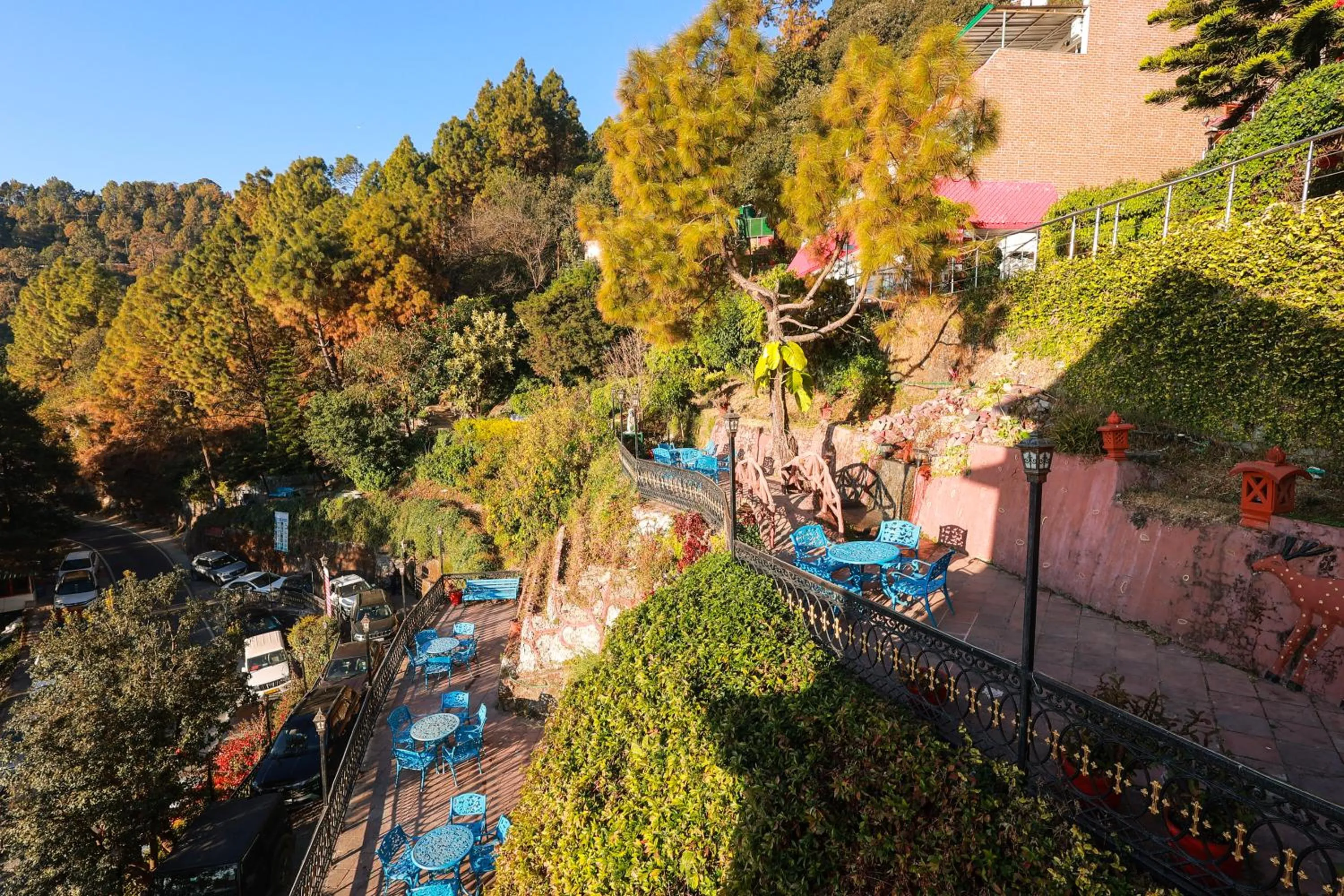 Day in Blue Pine Resort