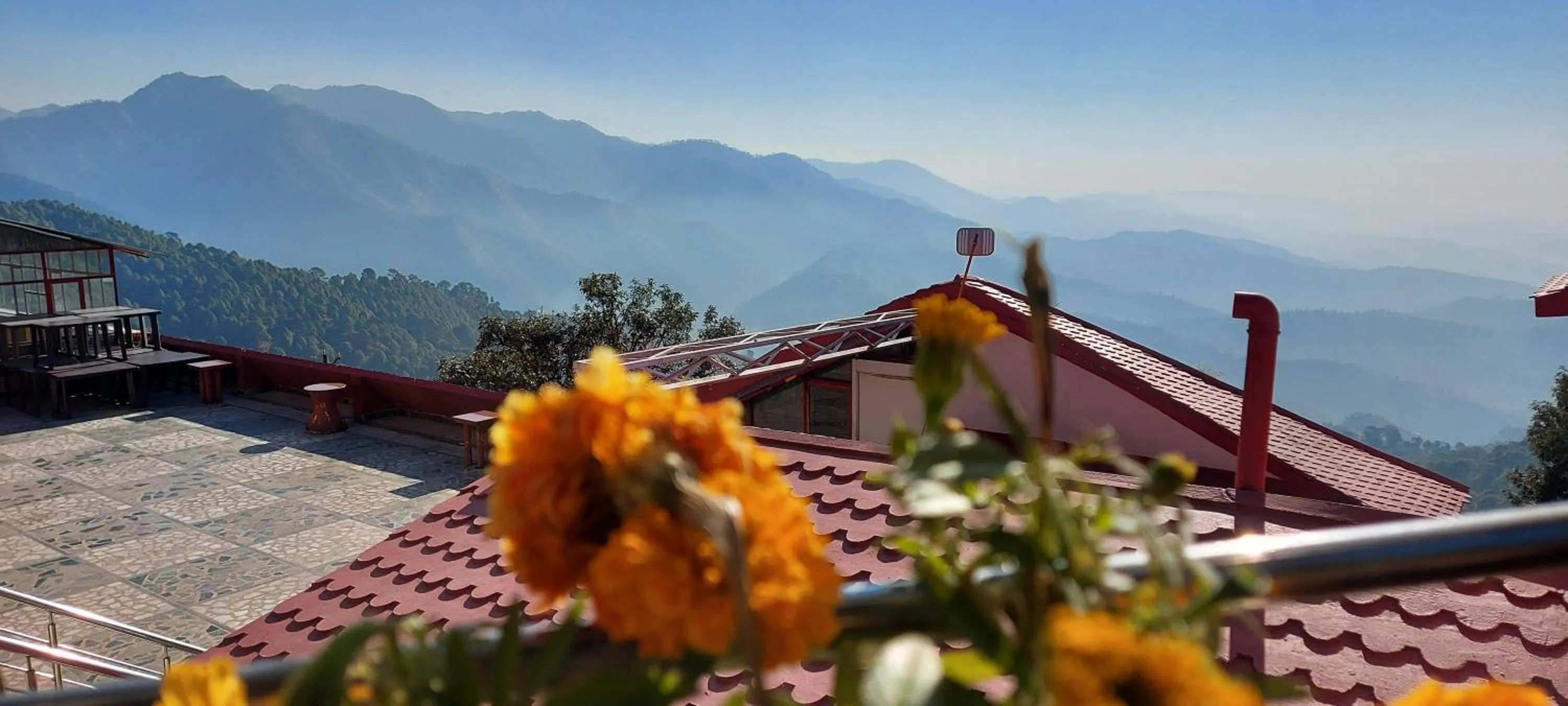 View (from property/room) in Blue Pine Resort