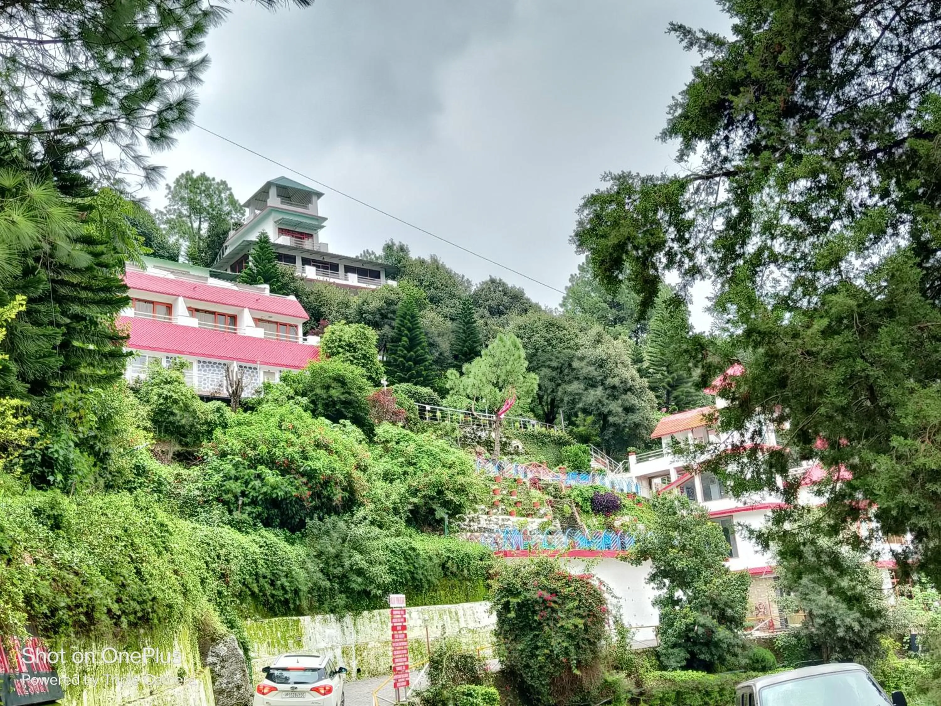 Garden in Blue Pine Resort