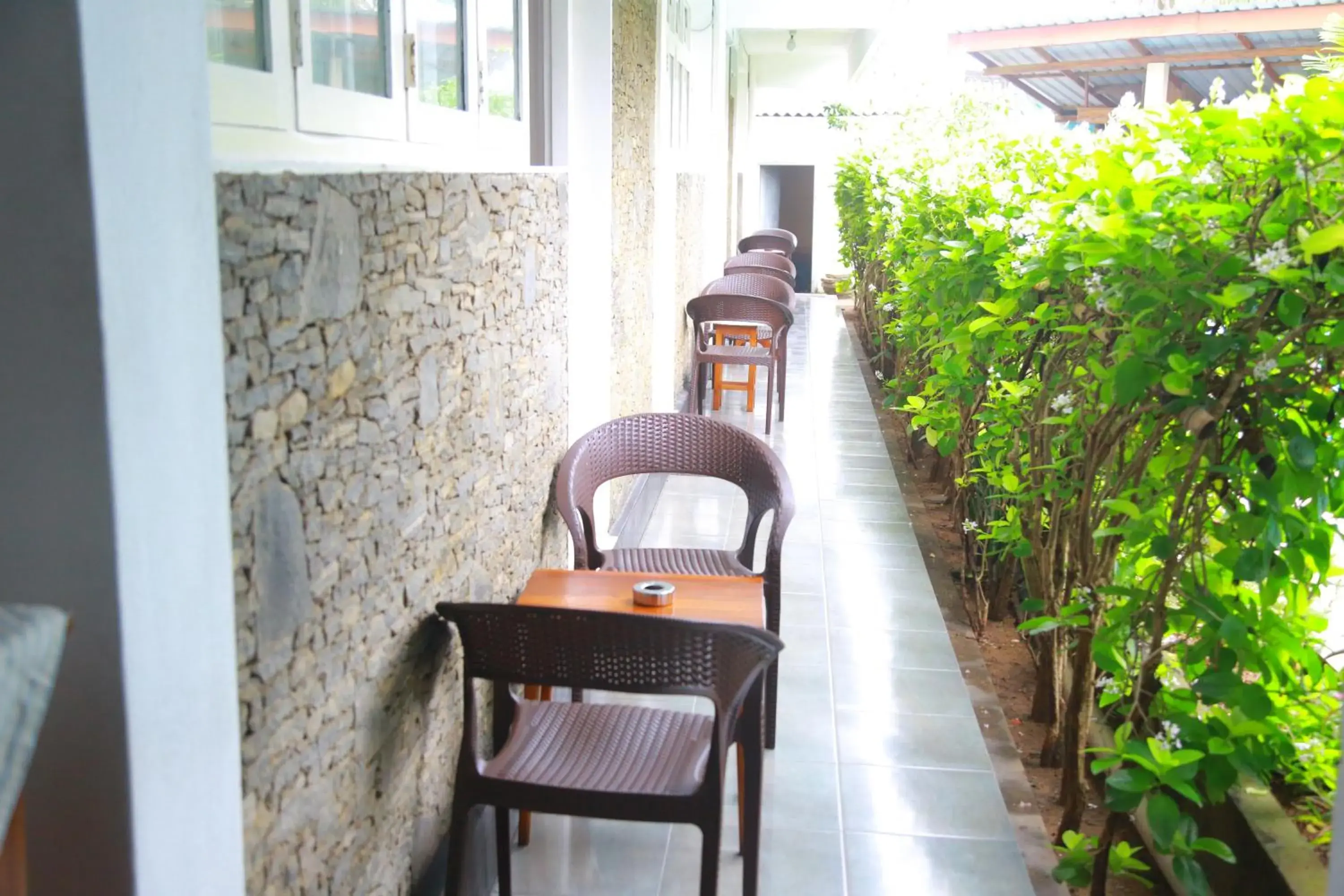 View (from property/room) in Ranveli Beach Resort View (from property/room) in Ranveli Beach Resort