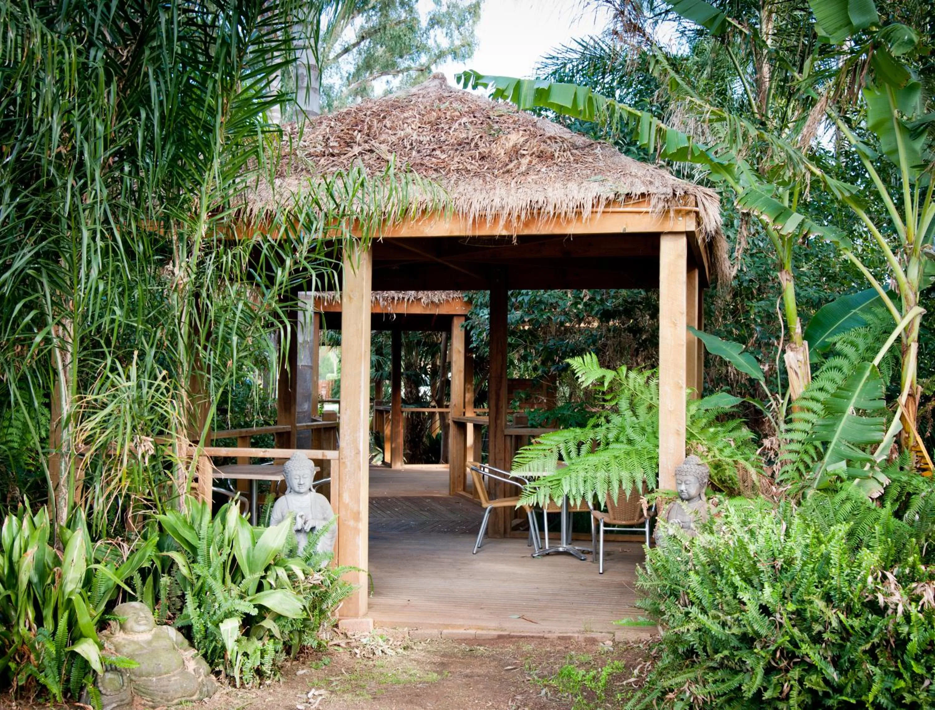 Garden in Sportsmans Motor Inn