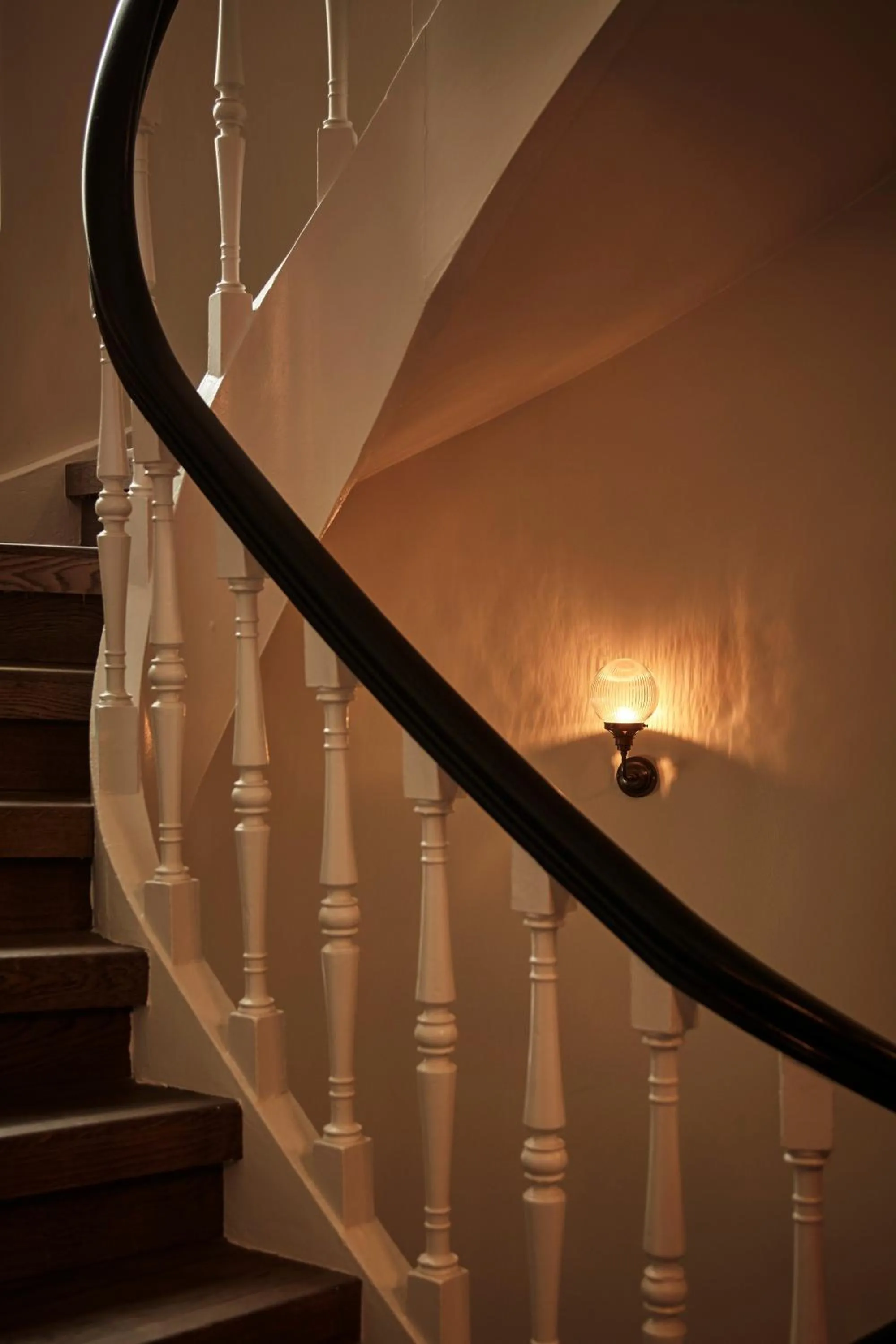 Area and facilities in Hotel Sanders