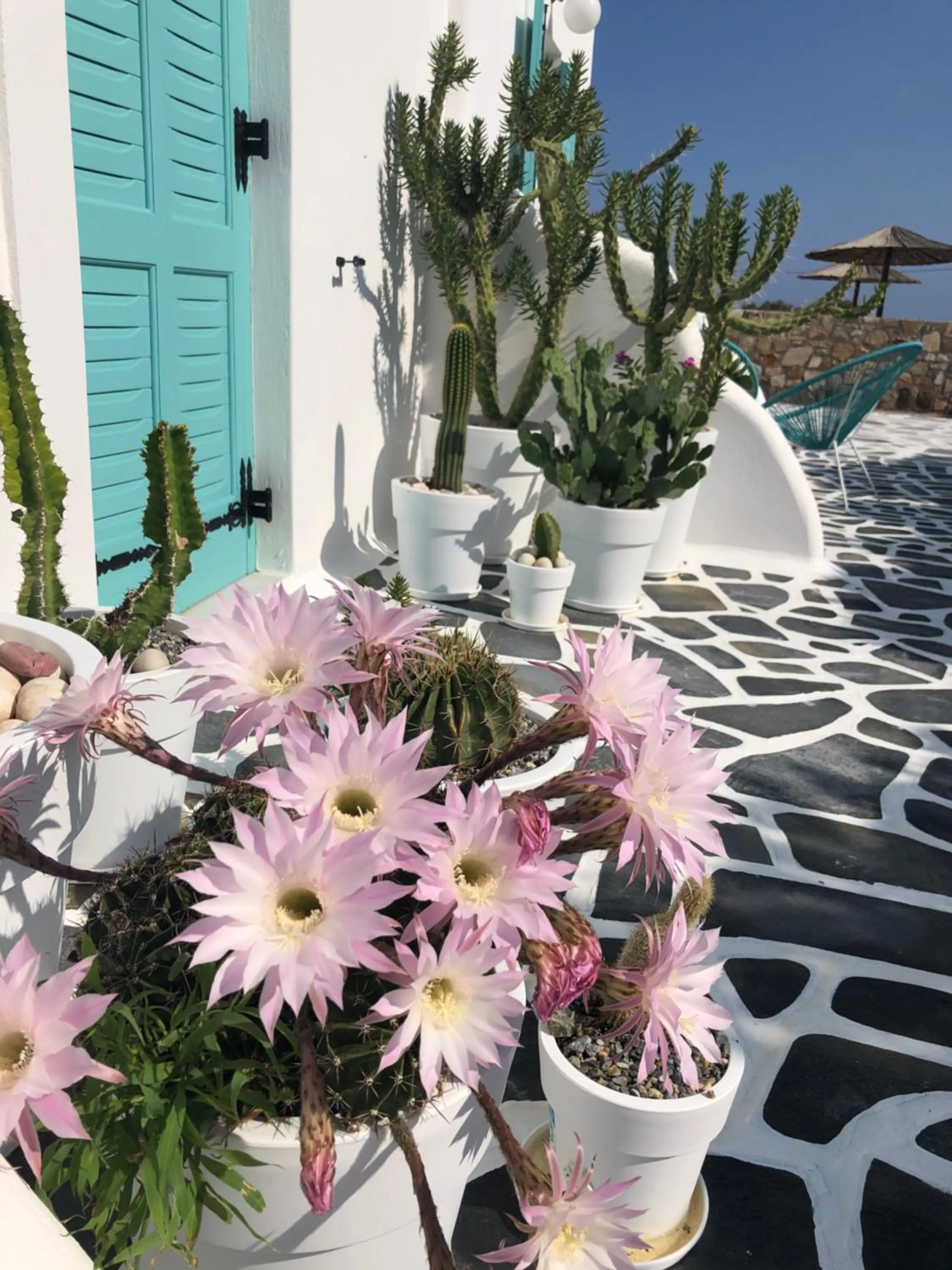 Day in Naxos Cave Suites