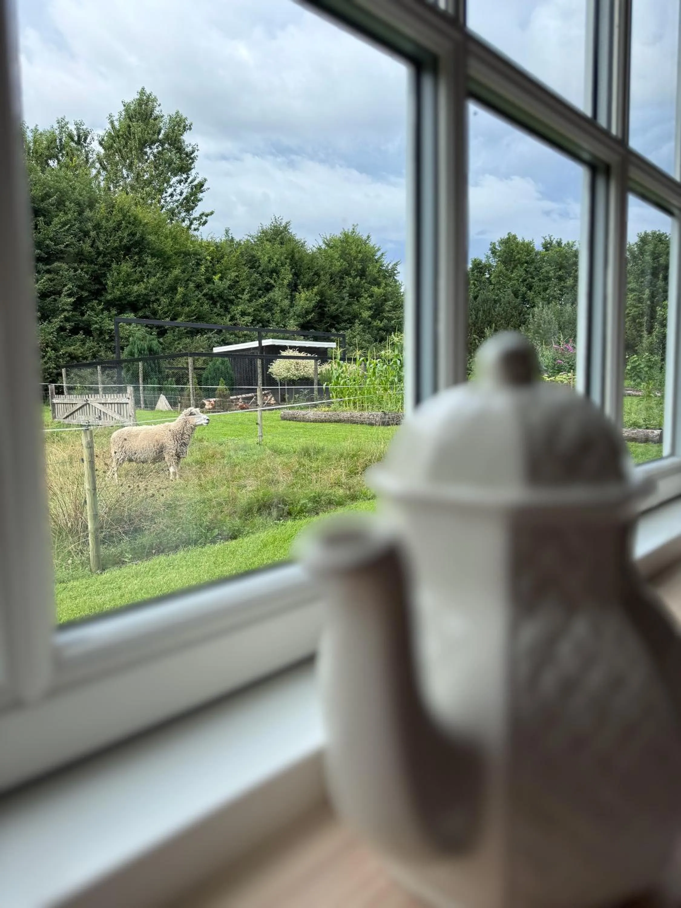 Animals in Pension Lærkelill