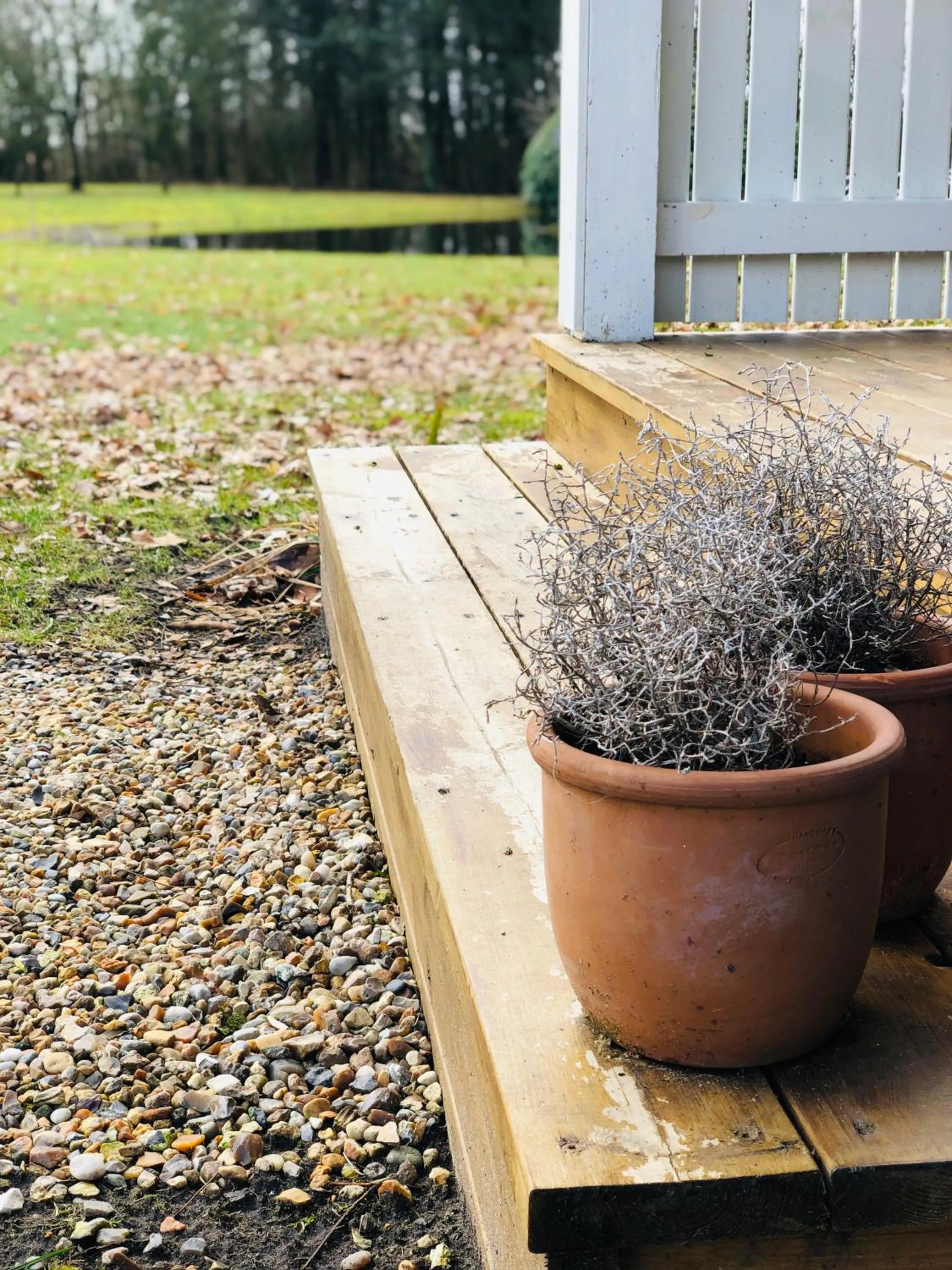 Garden in Pension Lærkelill