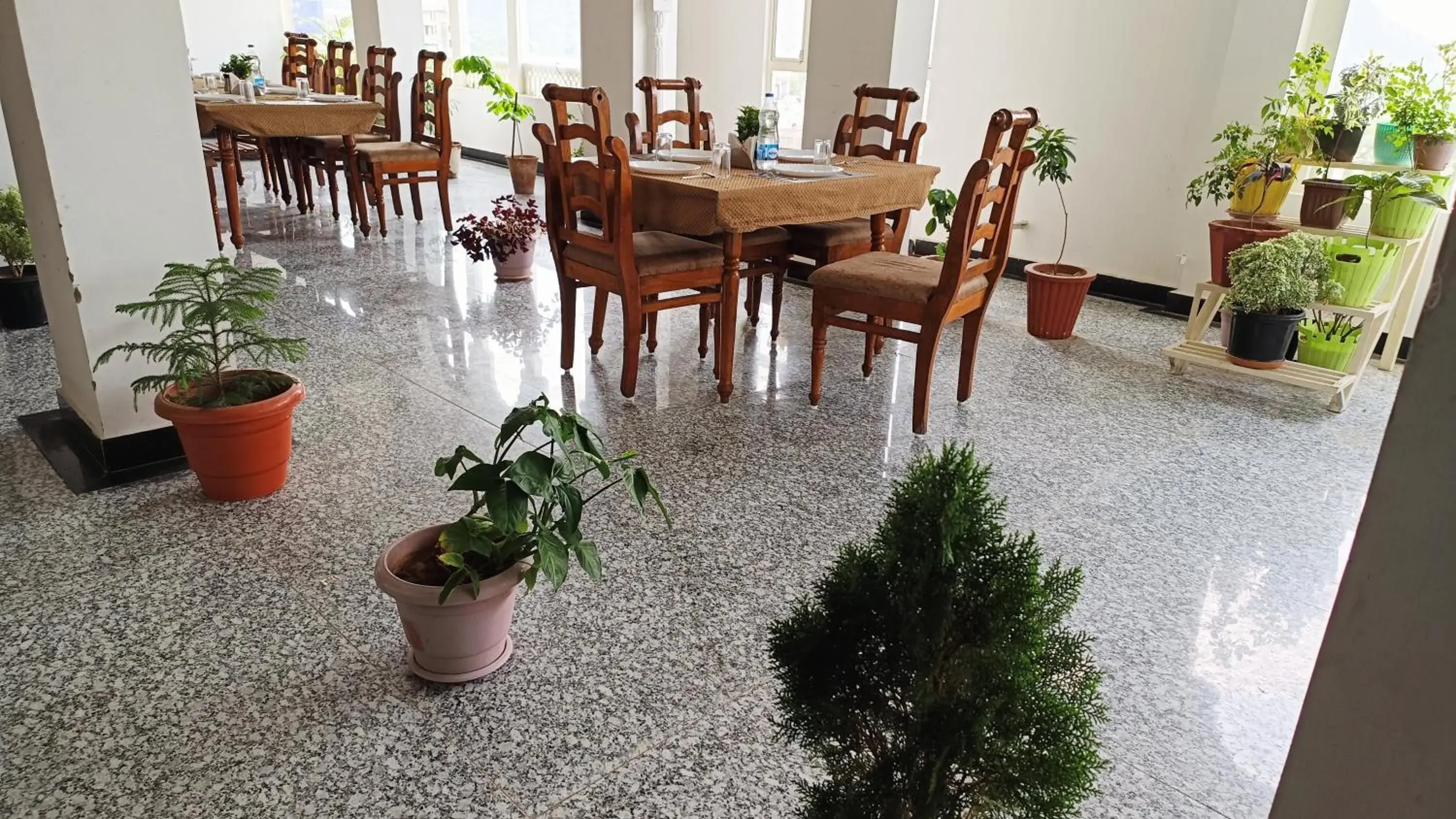 Restaurant/places to eat in Teerth Palace Pushkar Restaurant/places to eat in Teerth Palace Pushkar