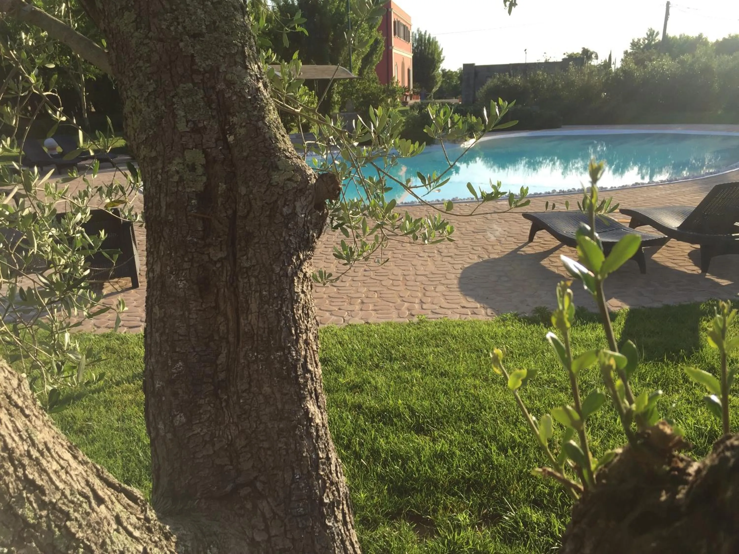 Garden in Tenuta Monaci La Murra