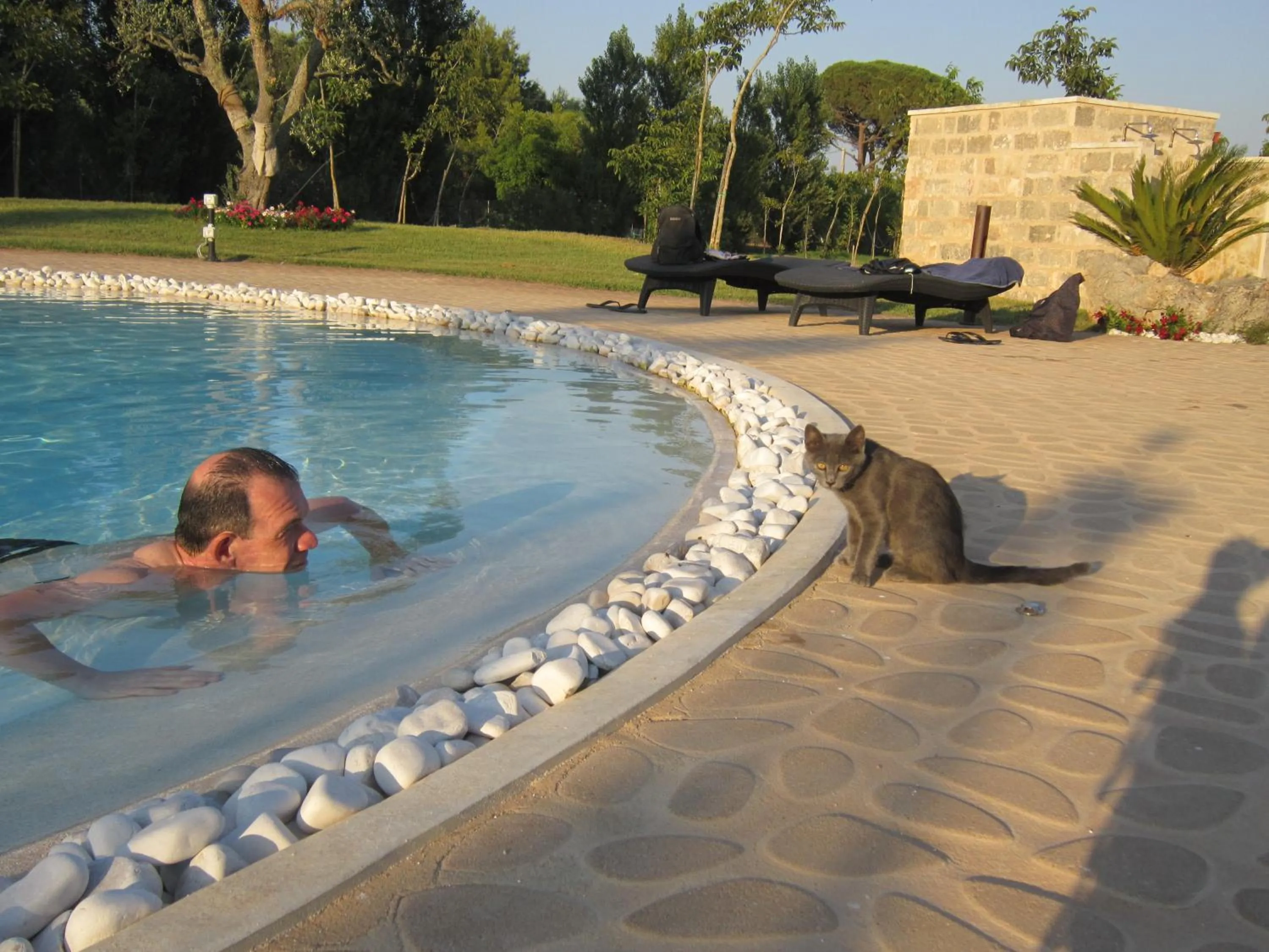 Swimming pool in Tenuta Monaci La Murra