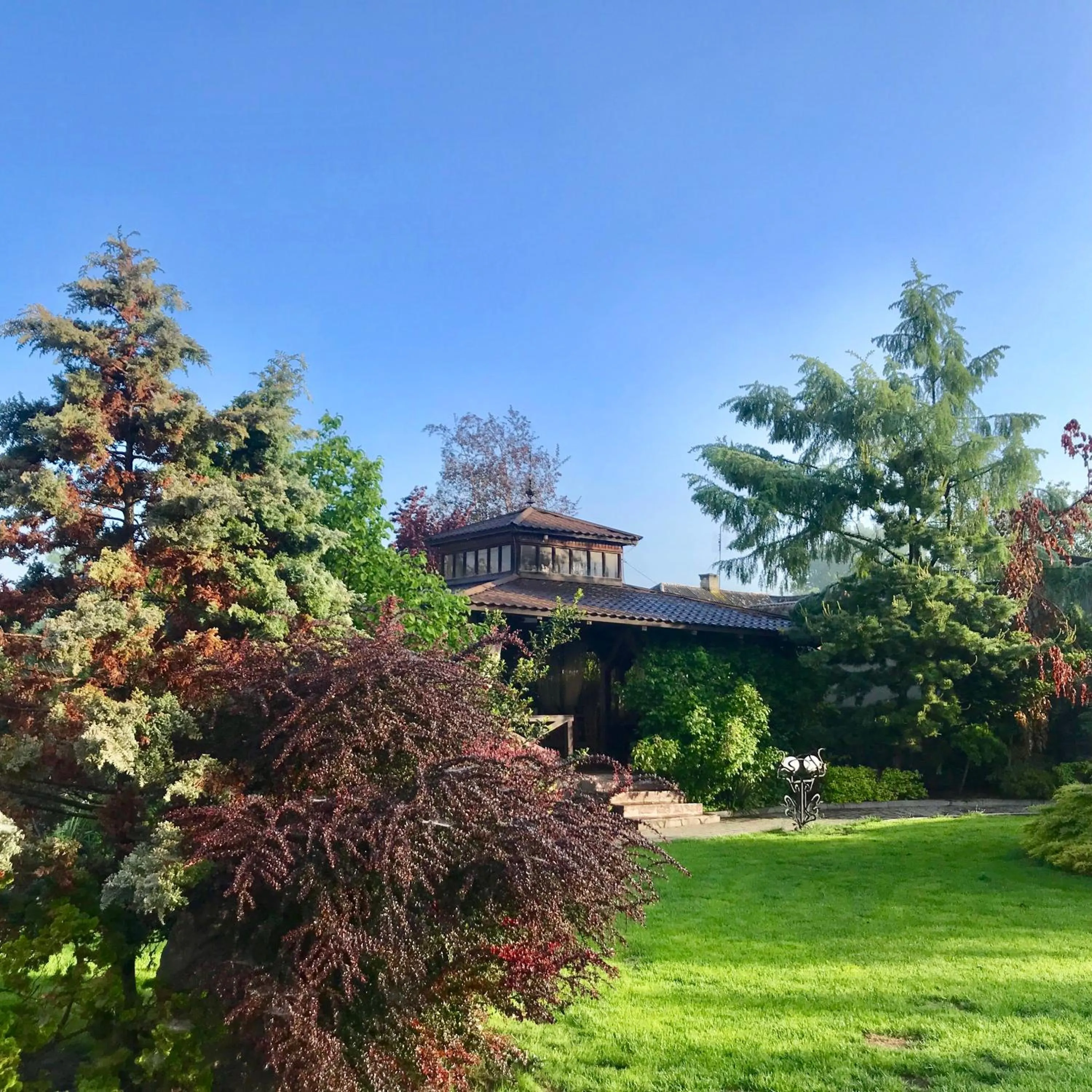 Garden in Gala Hotel
