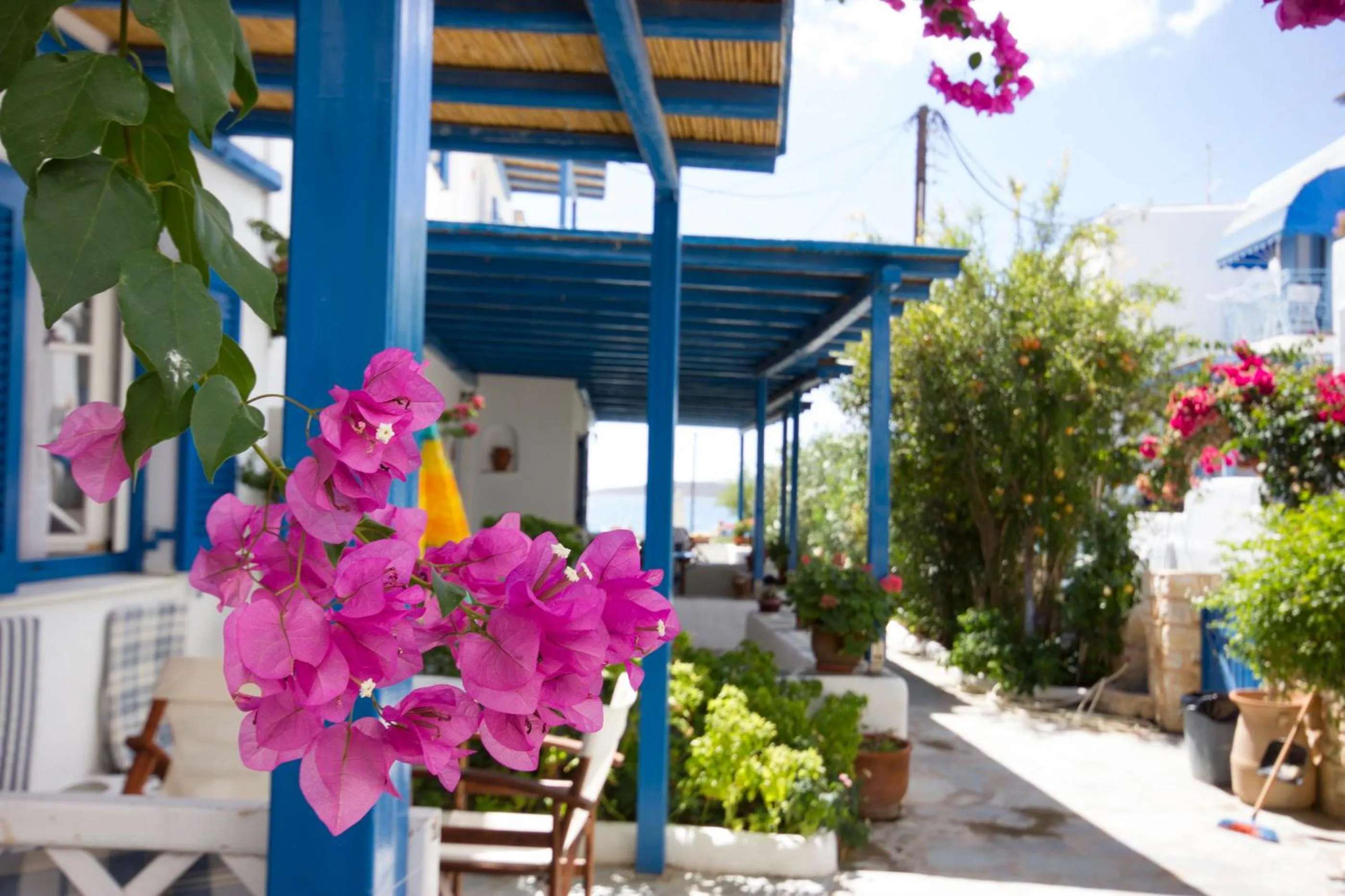 Day in George's beach studios Aliki Paros