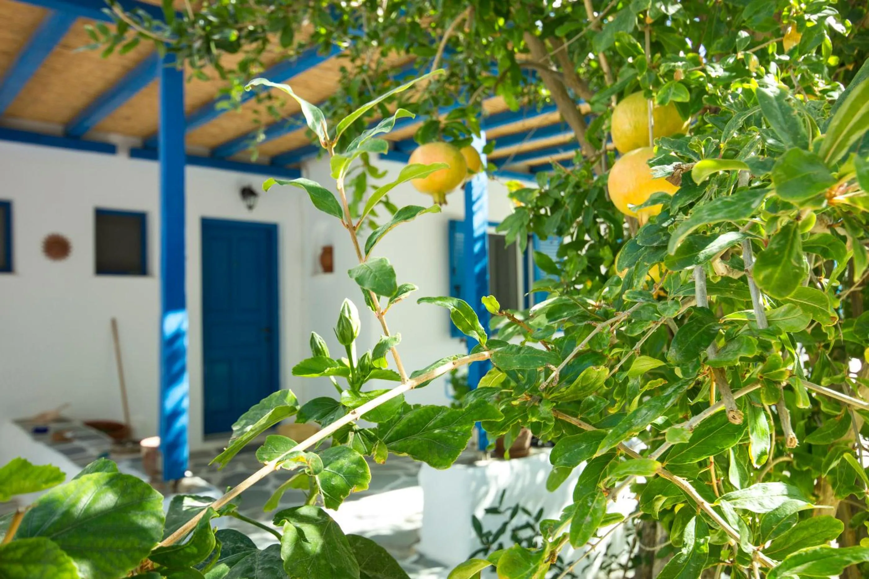 Facade/entrance in George's beach studios Aliki Paros