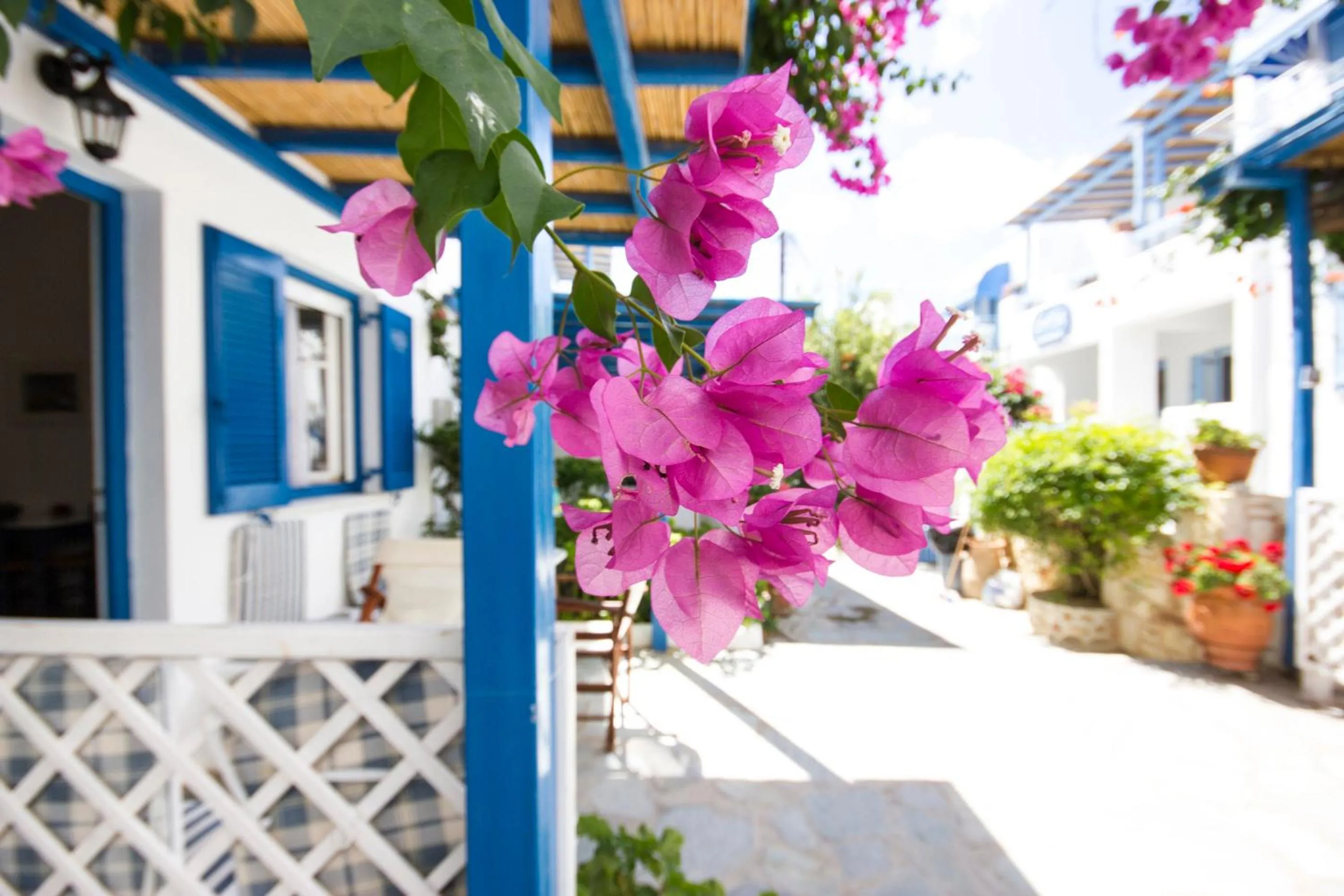Facade/entrance in George's beach studios Aliki Paros