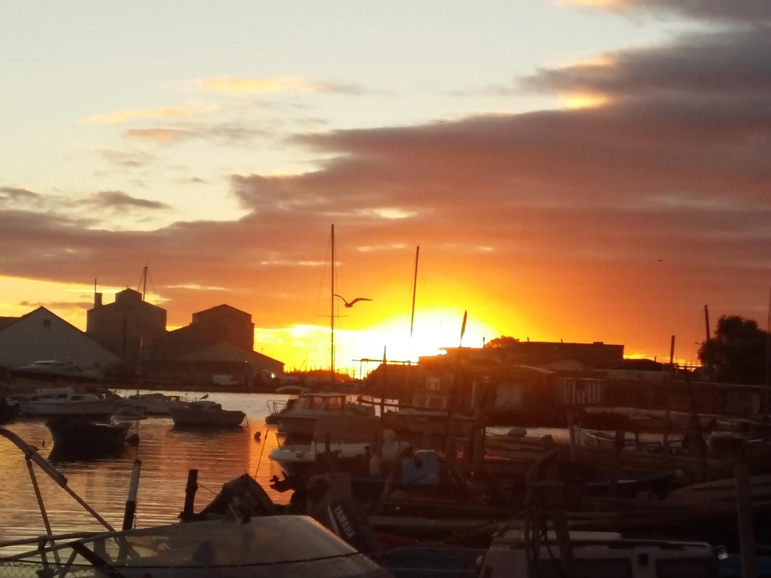 Sea view in LA CABANE D'ISA