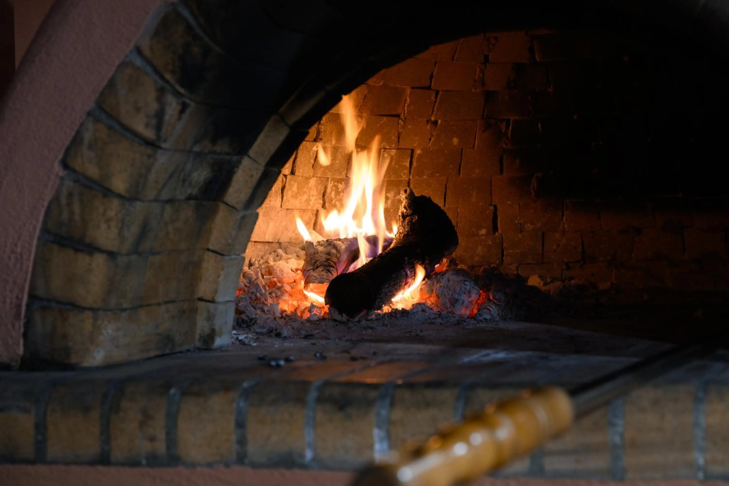 Aquarius Beach Hotel