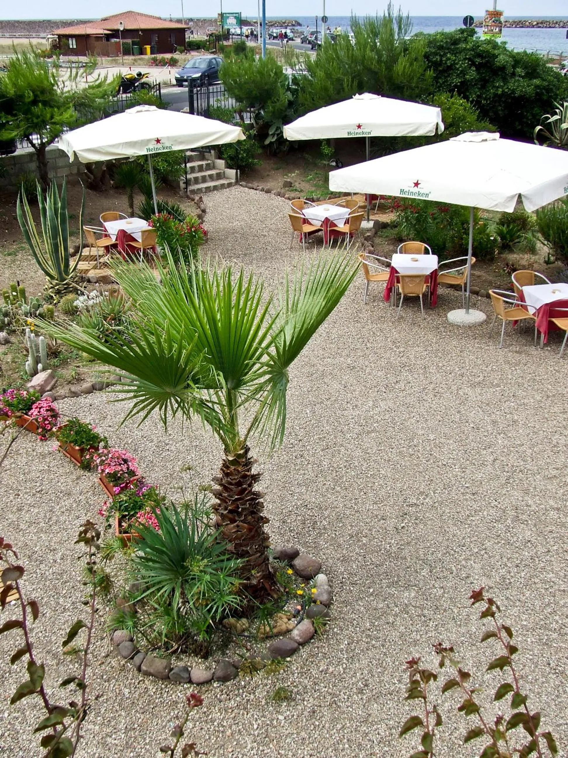 Restaurant/places to eat in Hotel Miramare