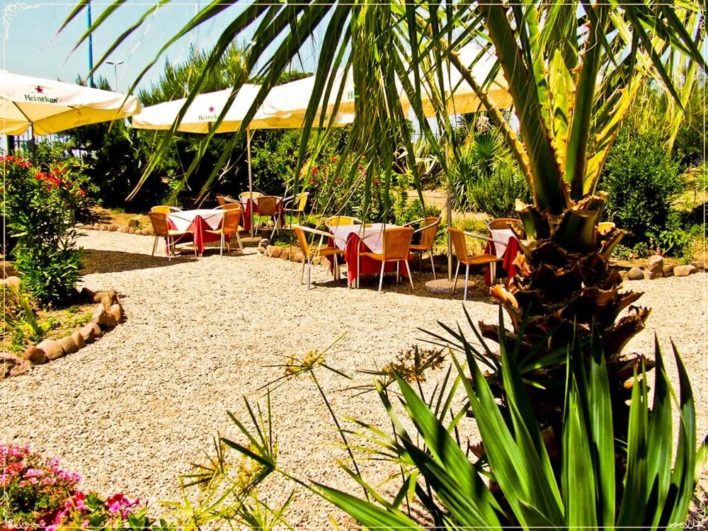 Restaurant/places to eat in Hotel Miramare