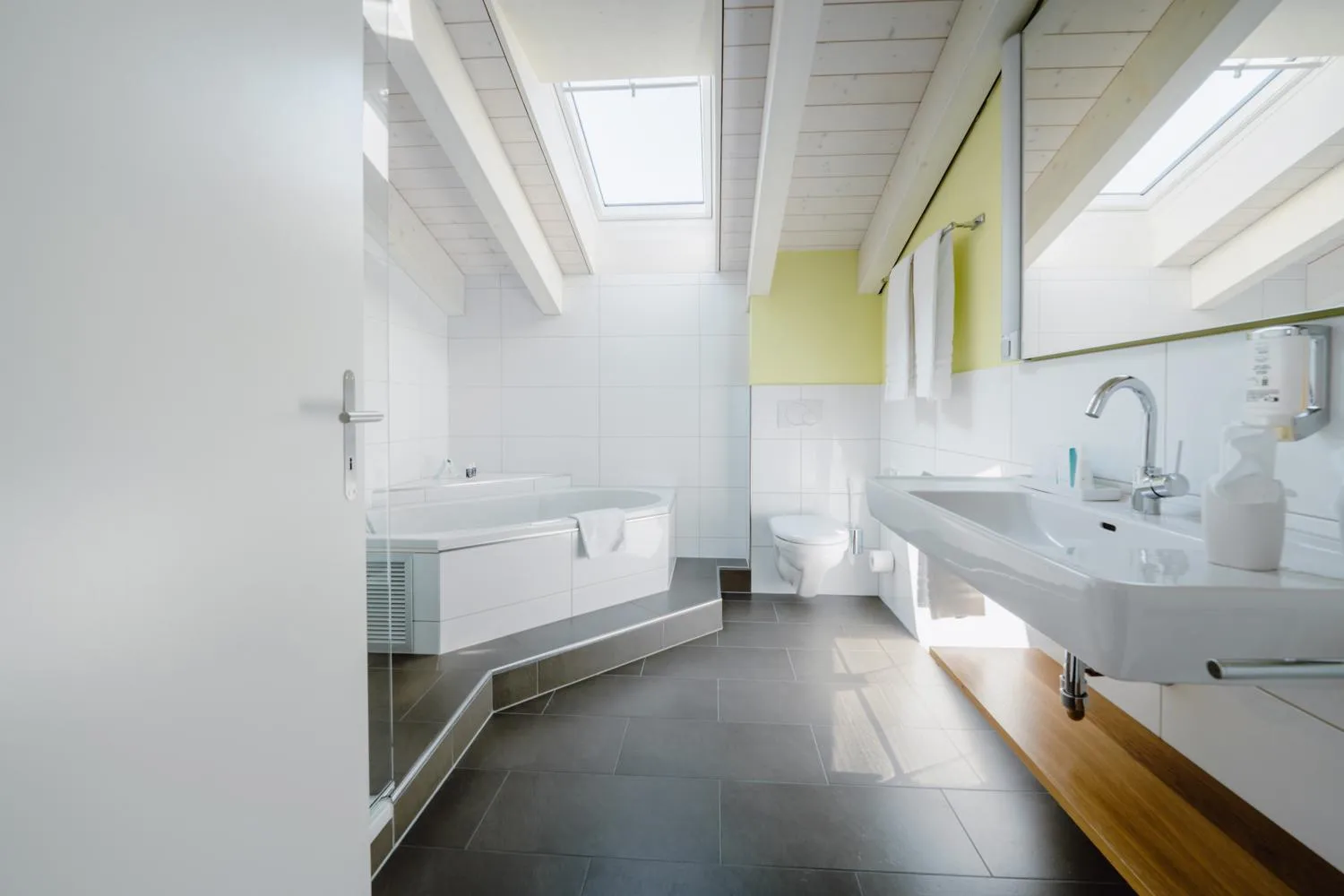 Toilet in Solbadhotel Sigriswil