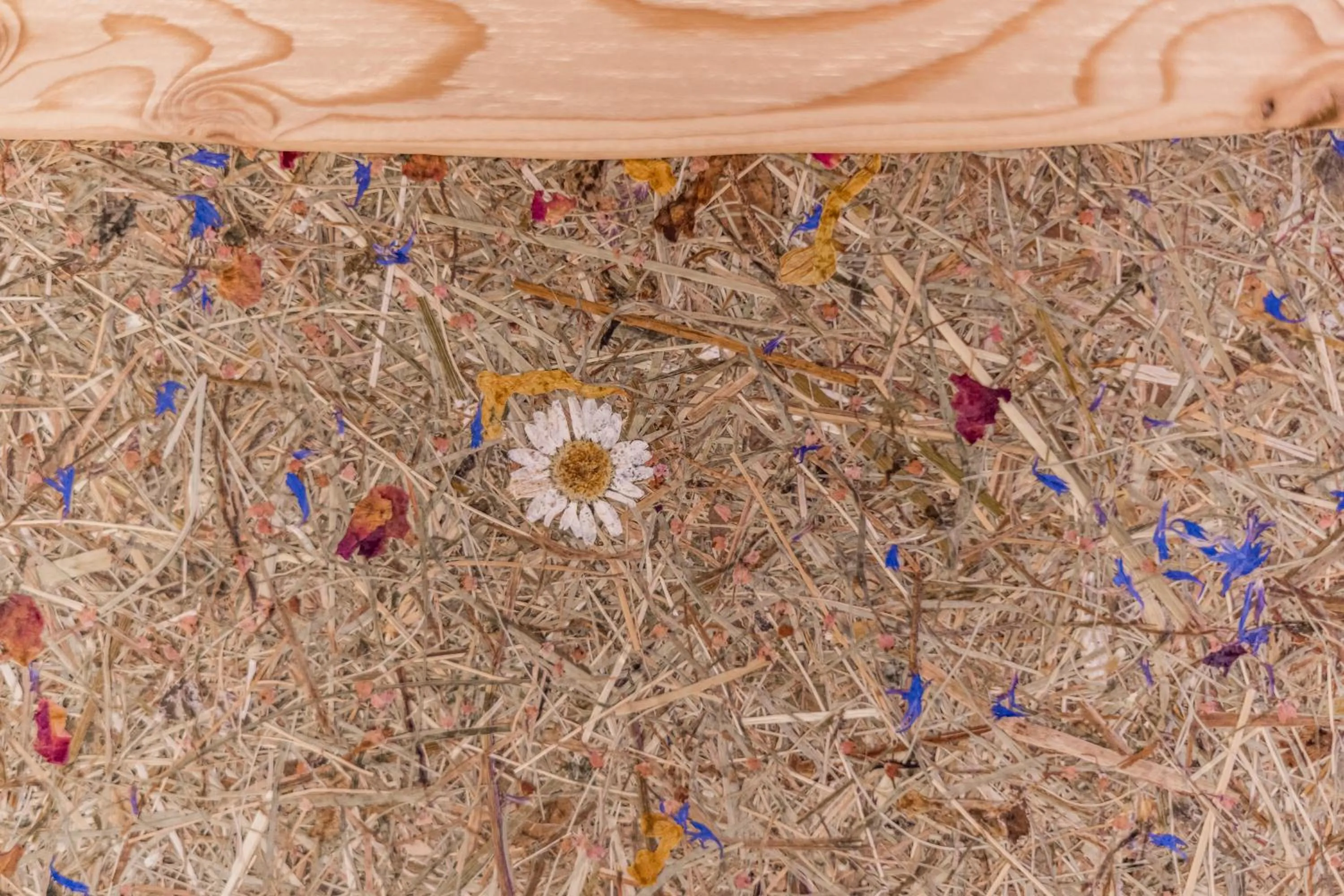 Decorative detail in Hotel Astoria