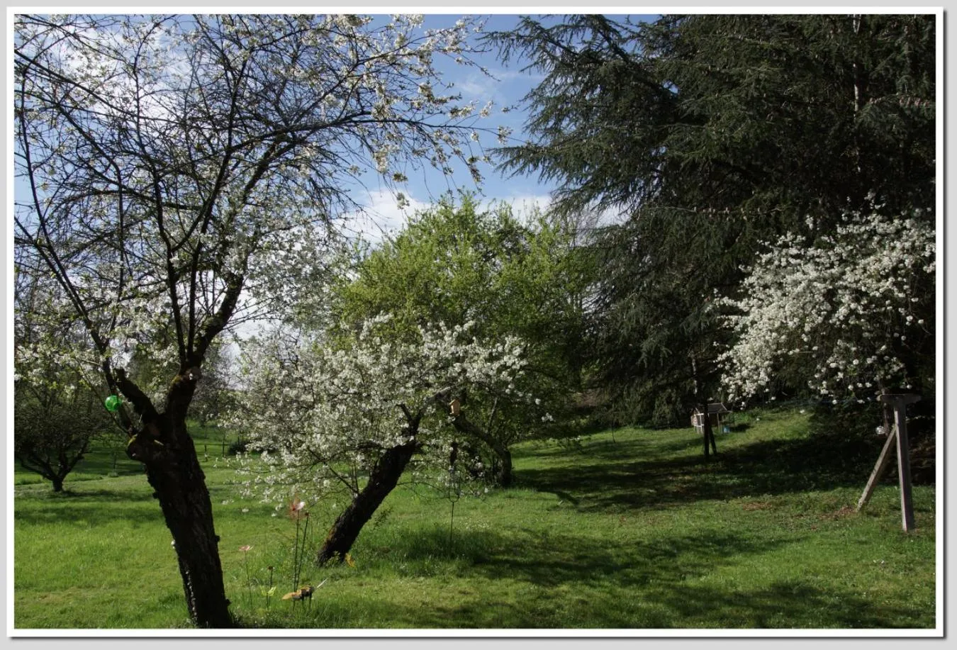 Garden view in Chez Flo et Marc