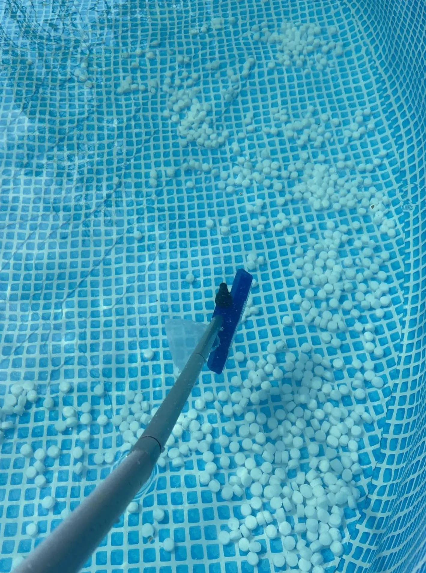 Swimming pool in Chez Flo et Marc