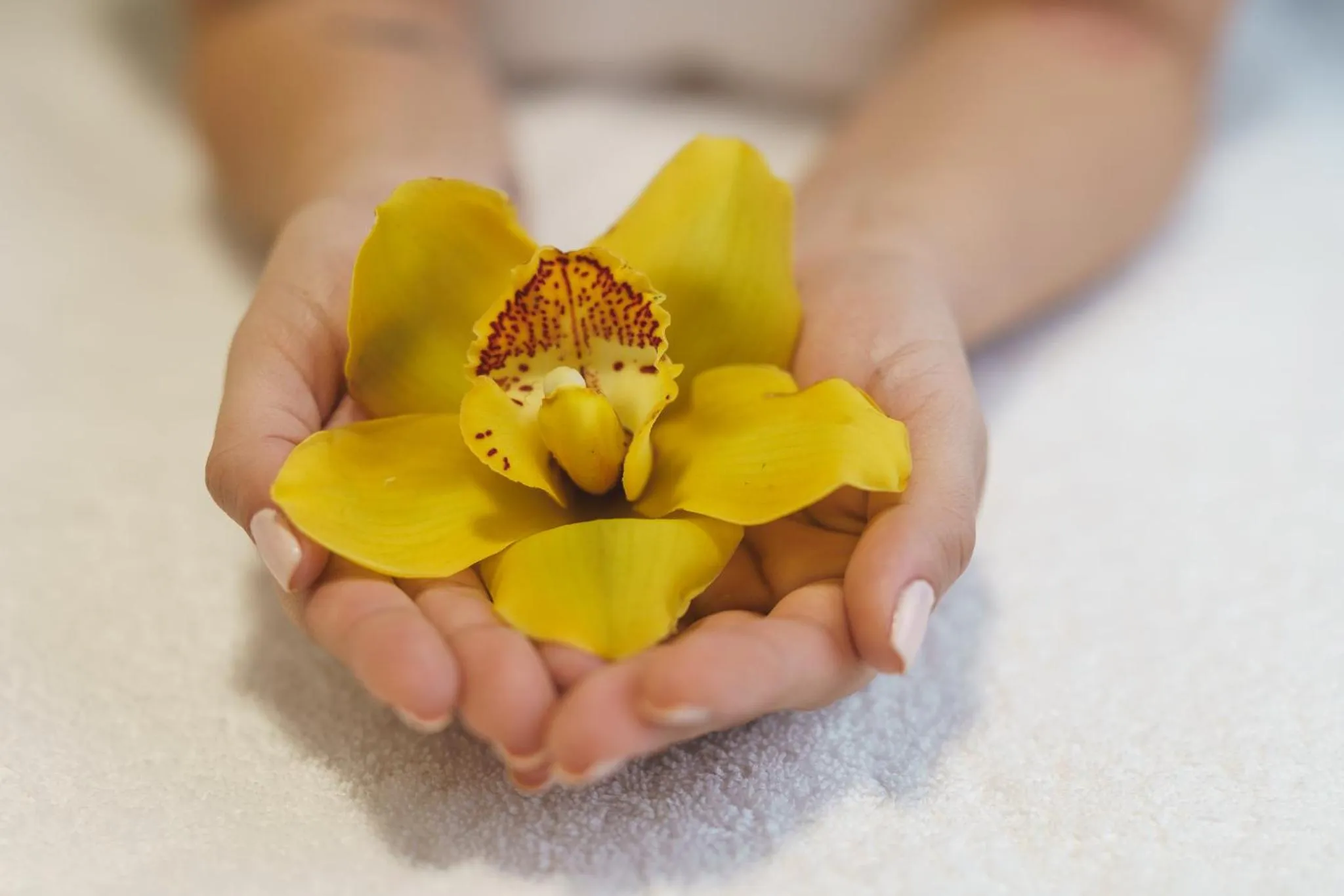 Spa and wellness centre/facilities in Real Intercontinental San Salvador by IHG