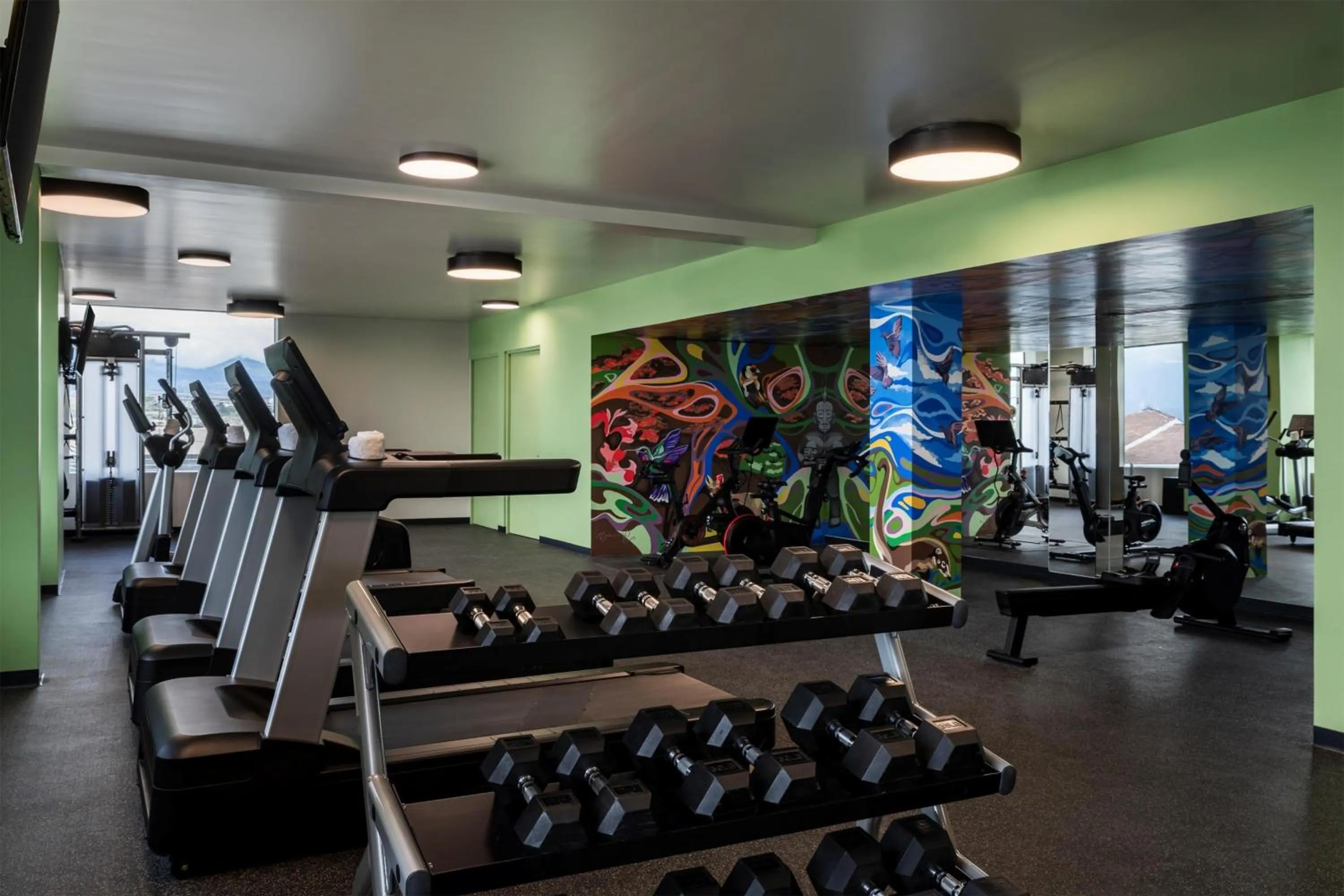 Fitness centre/facilities in Hyatt Centric San José Escazú