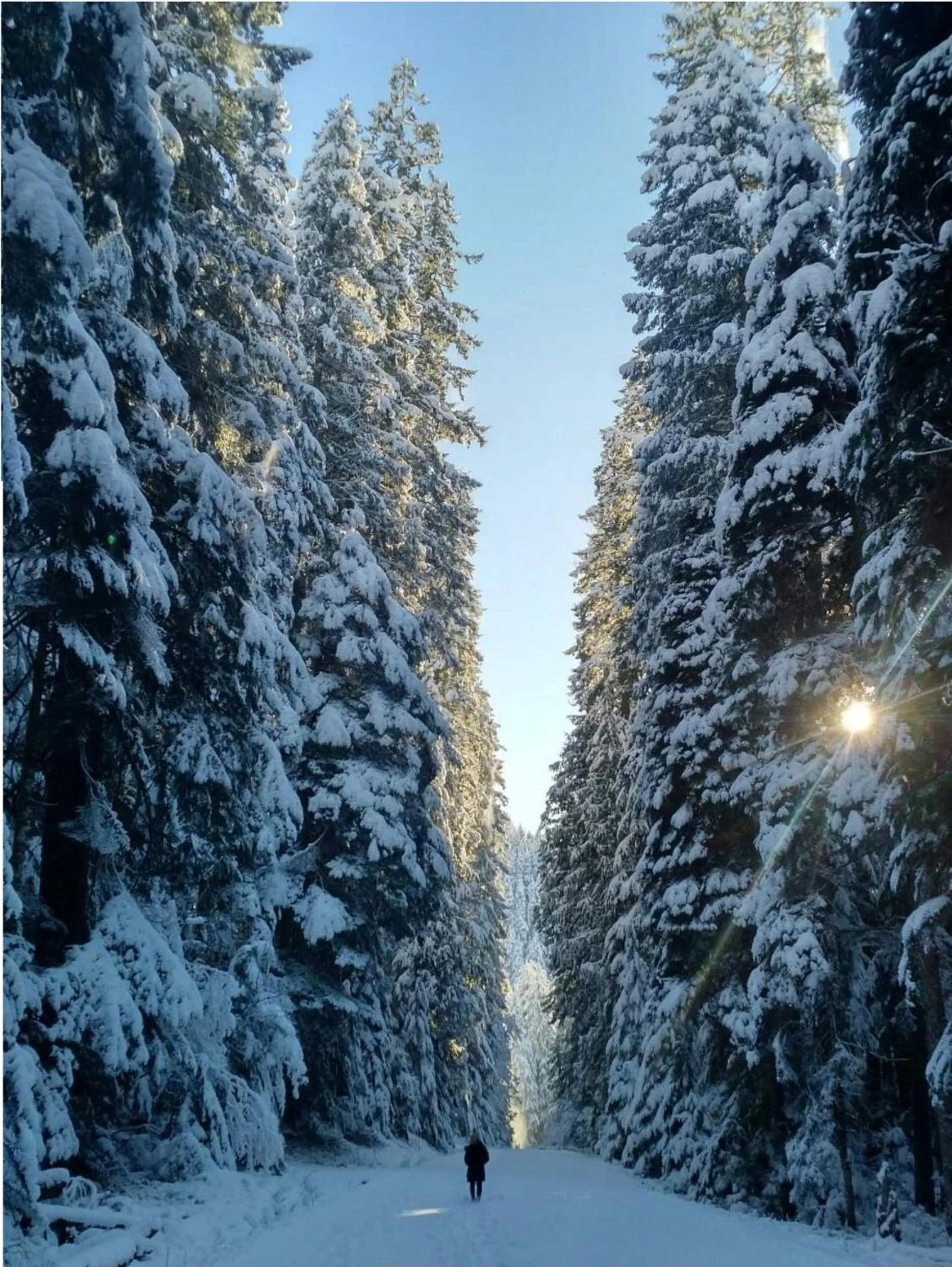 Hiking in Packwood Ski & Vacation Getaway