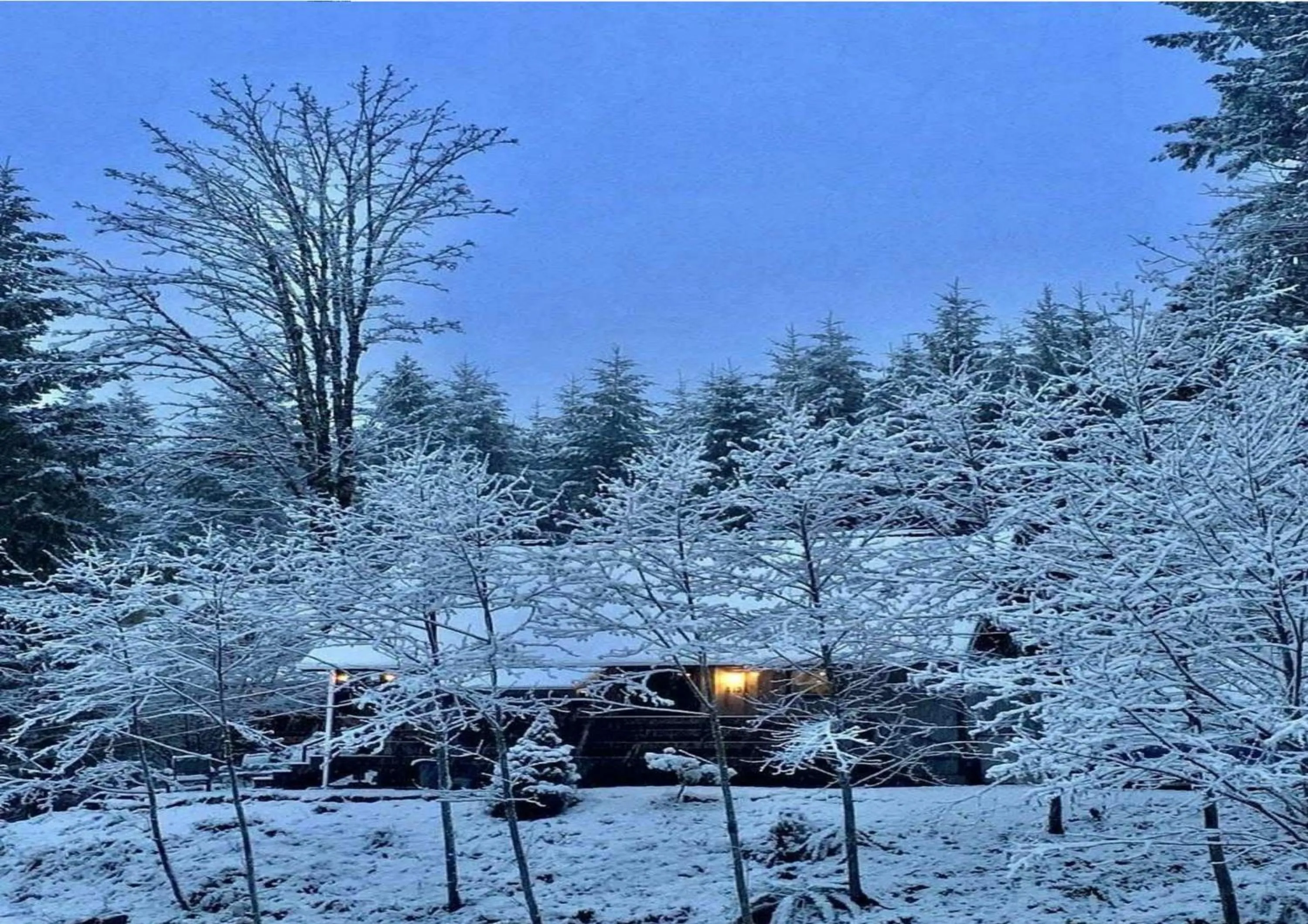 Property building in Packwood Ski & Vacation Getaway