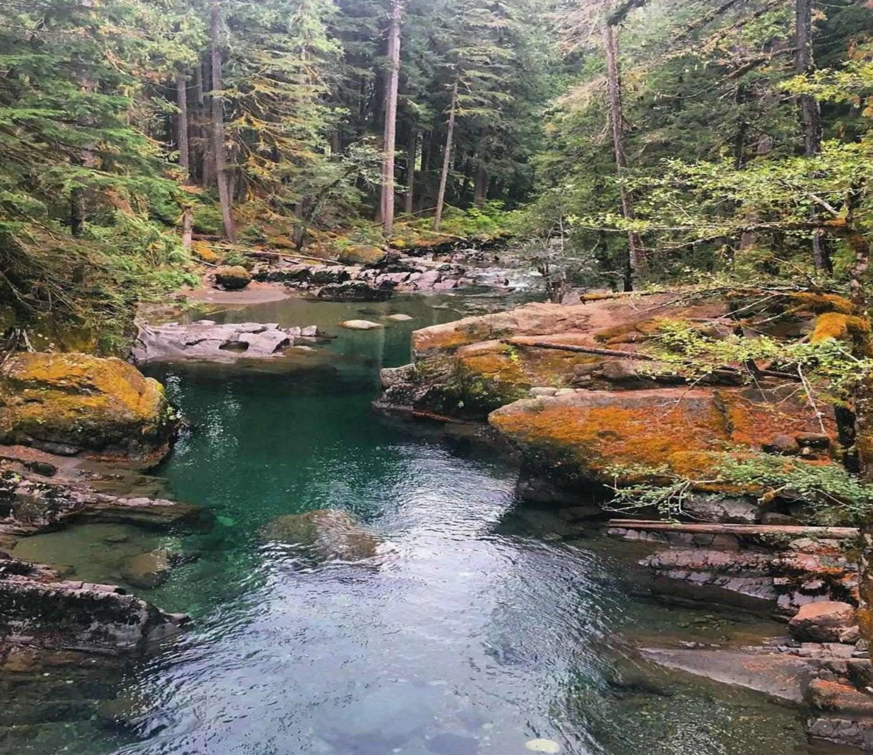 Fishing in Packwood Ski & Vacation Getaway