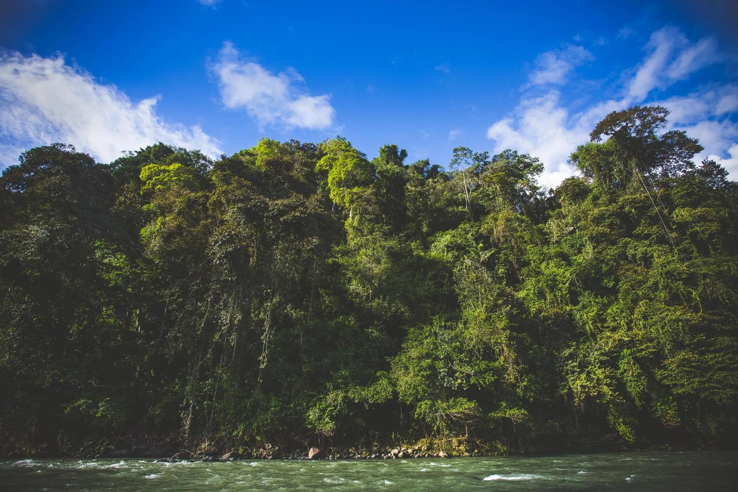 River view in Pacuare Lodge by Böëna