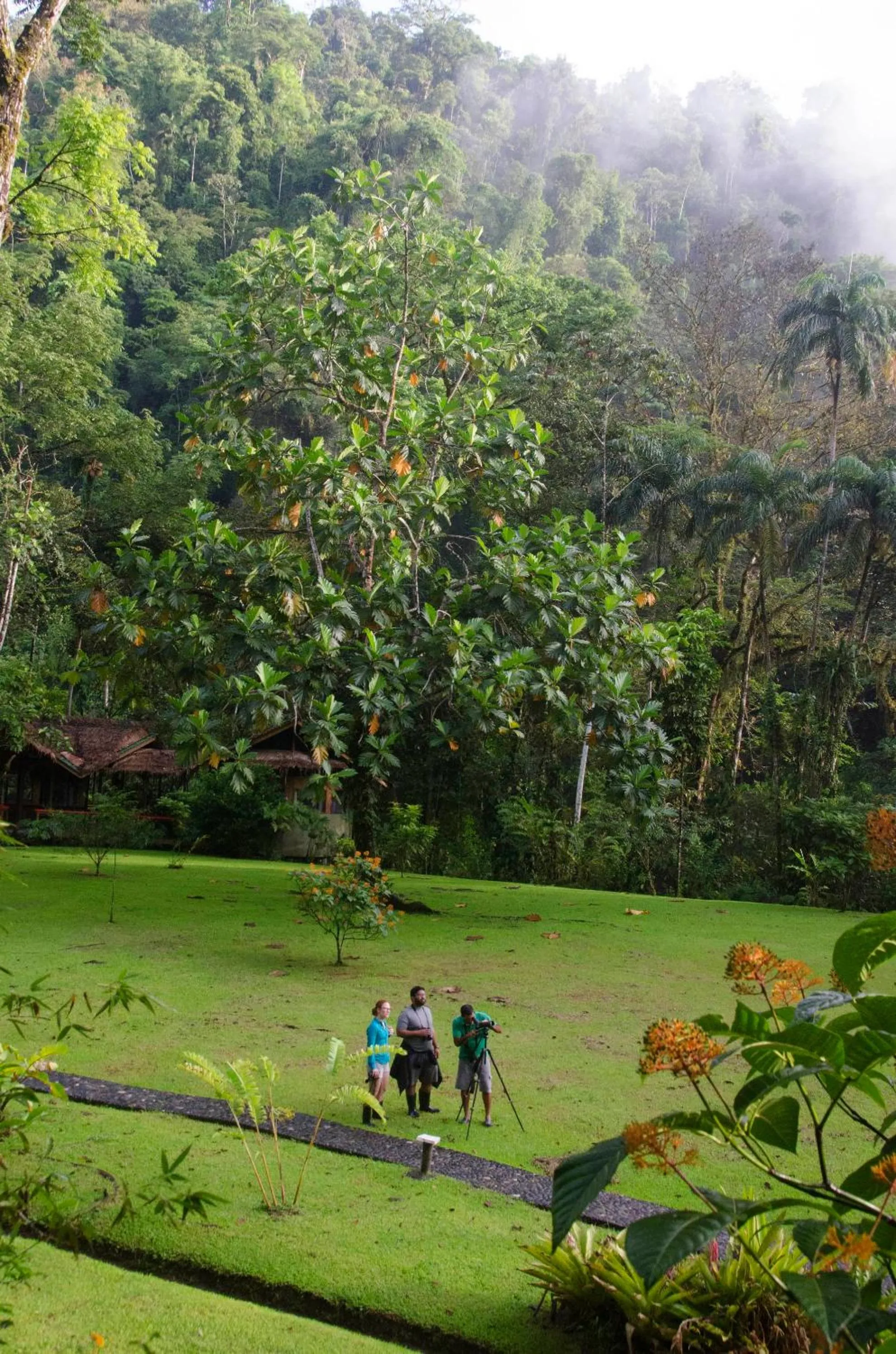 Garden in Pacuare Lodge by Böëna