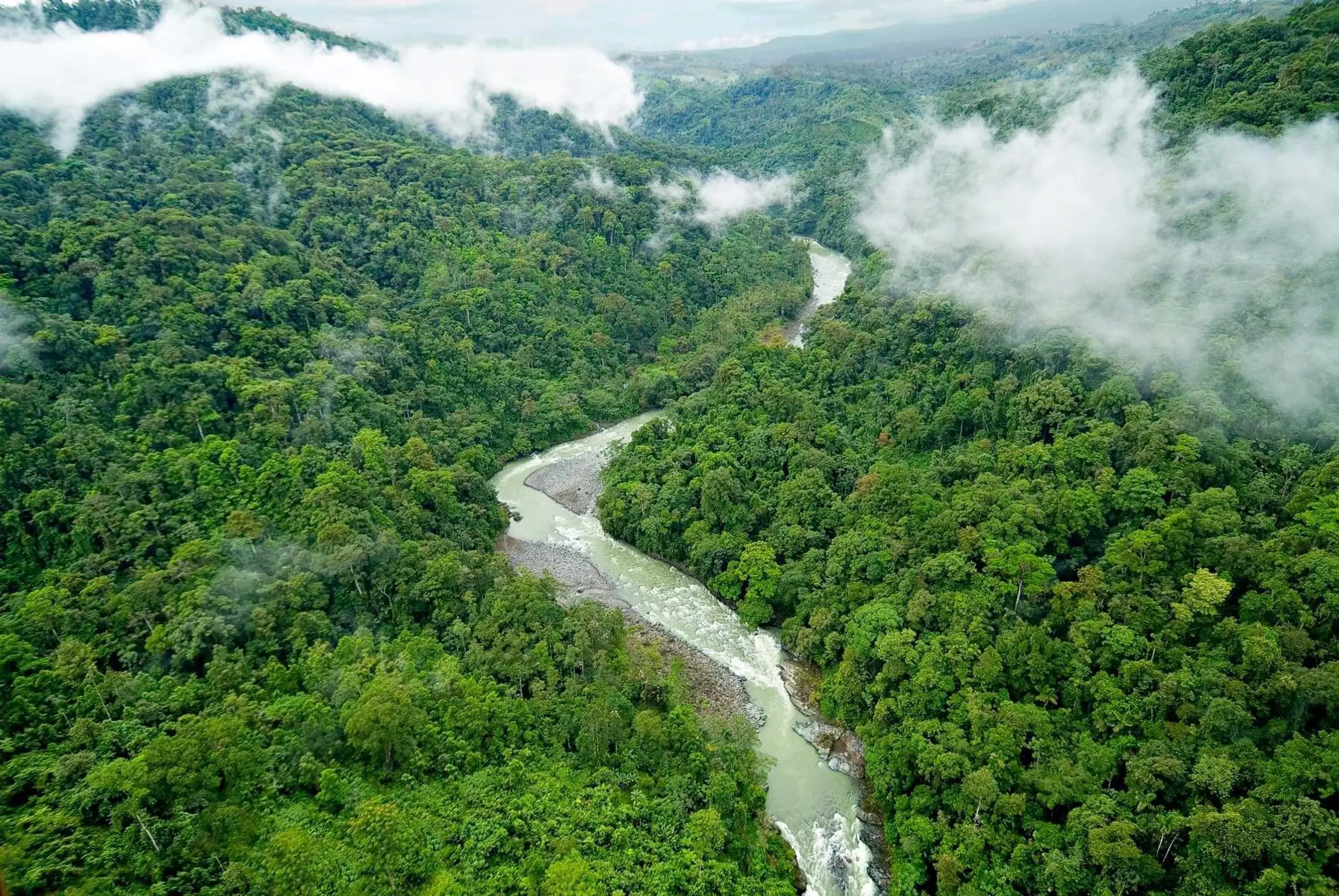 Bird's eye view in Pacuare Lodge by Böëna Bird's eye view in Pacuare Lodge by Böëna