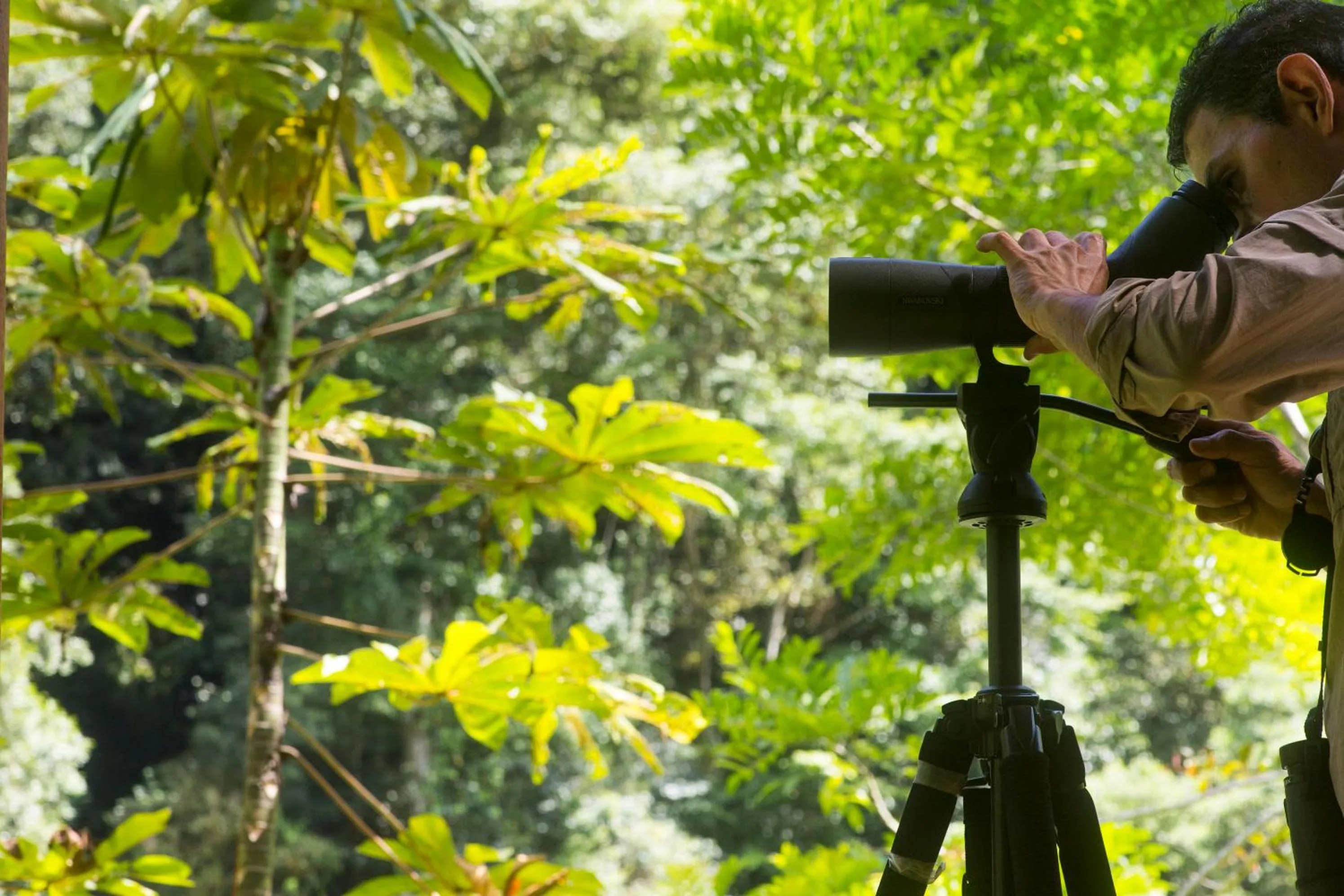 Activities in Pacuare Lodge by Böëna