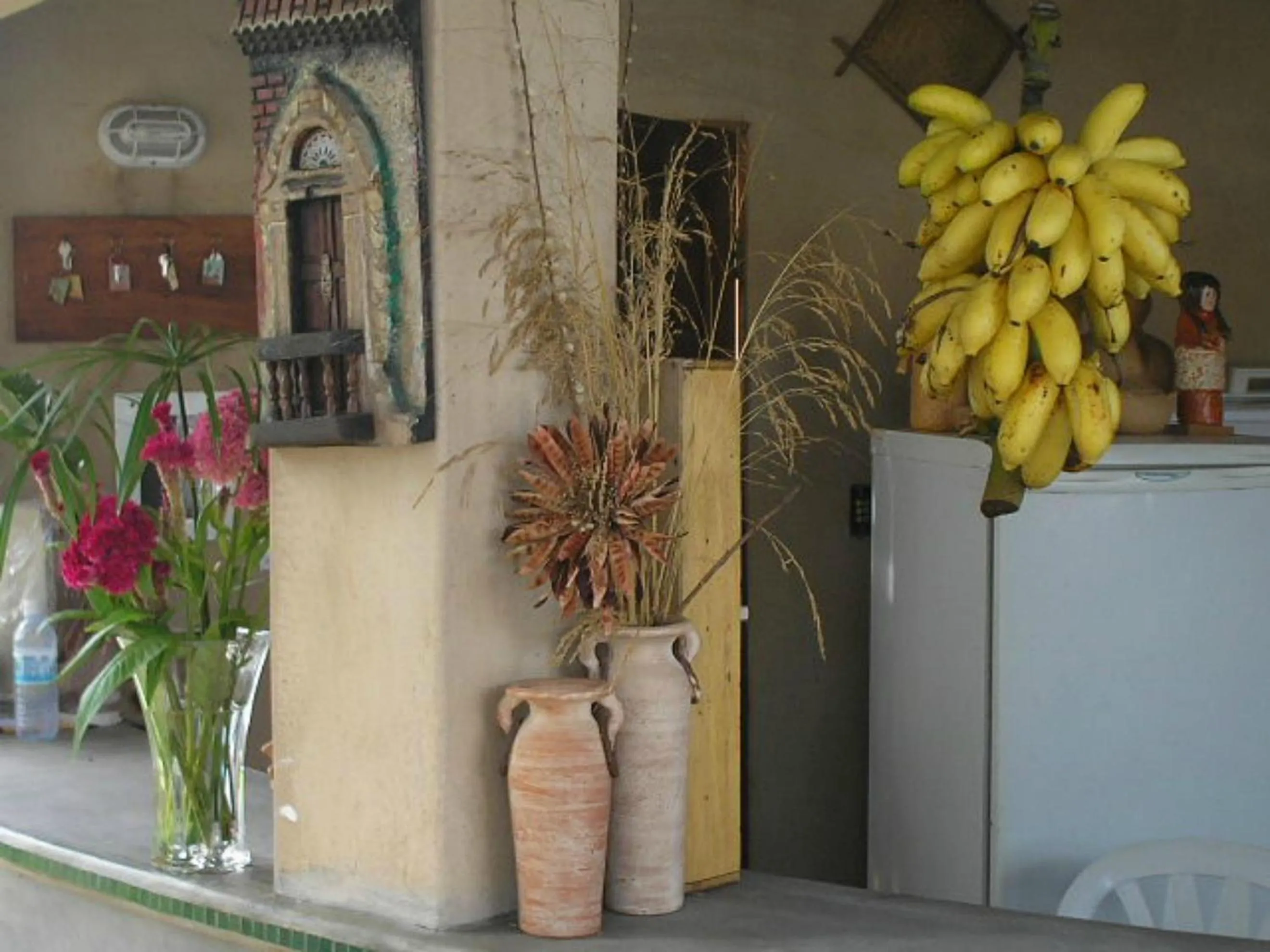 Kitchen or kitchenette in Pousada Dos Cajueiros