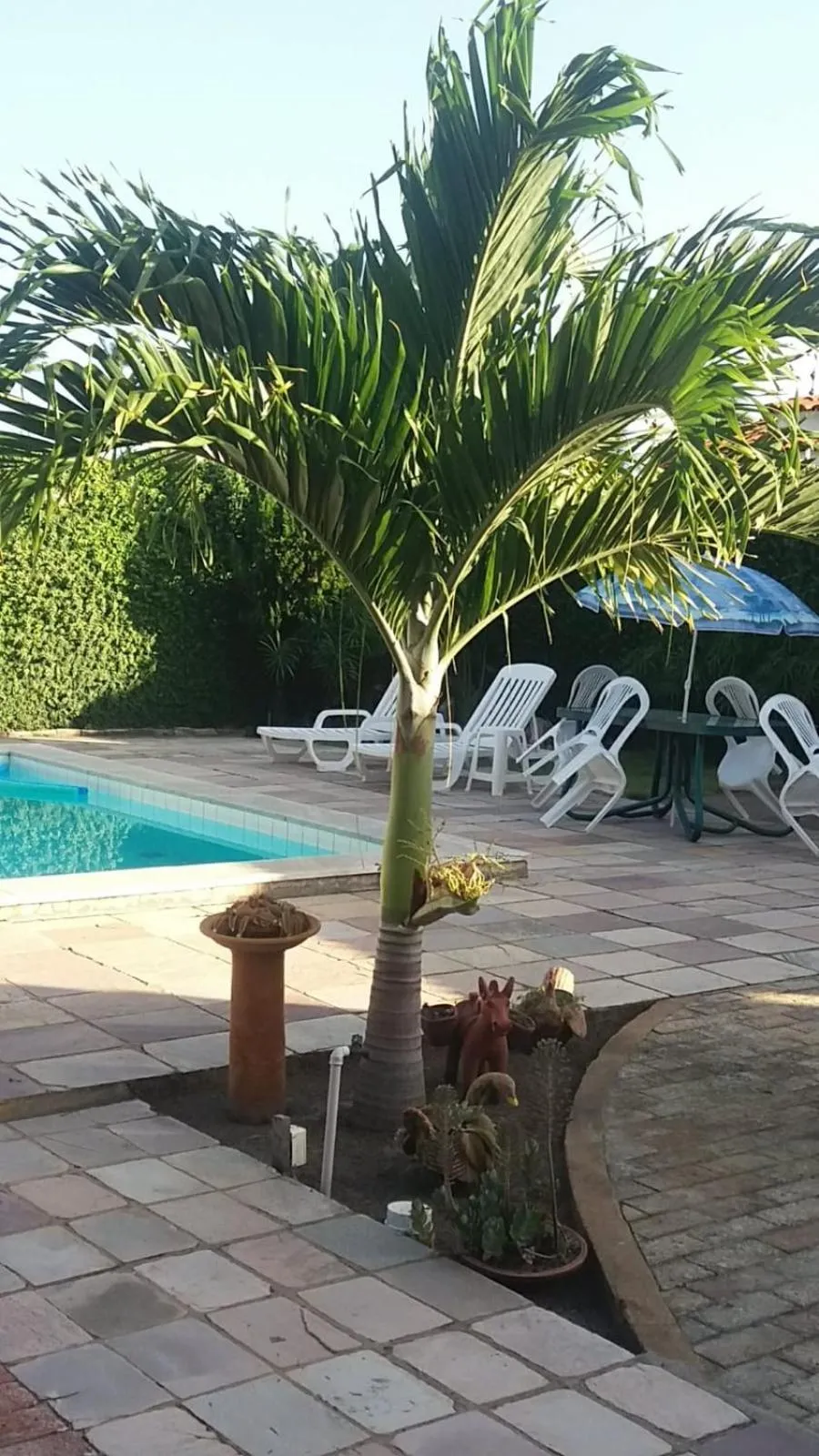 Seating area in Pousada Dos Cajueiros