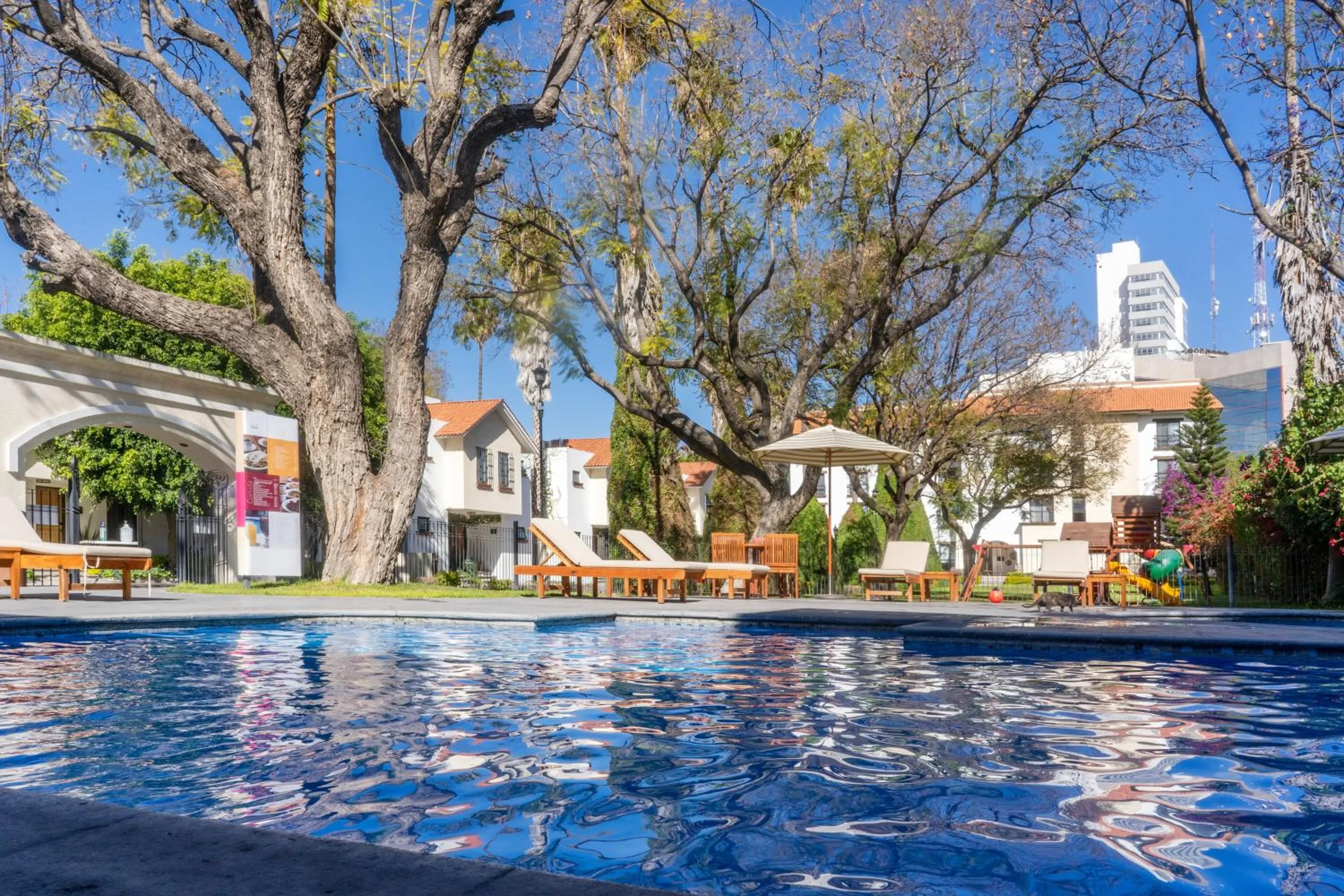 Swimming pool in Hotel Flamingo Inn