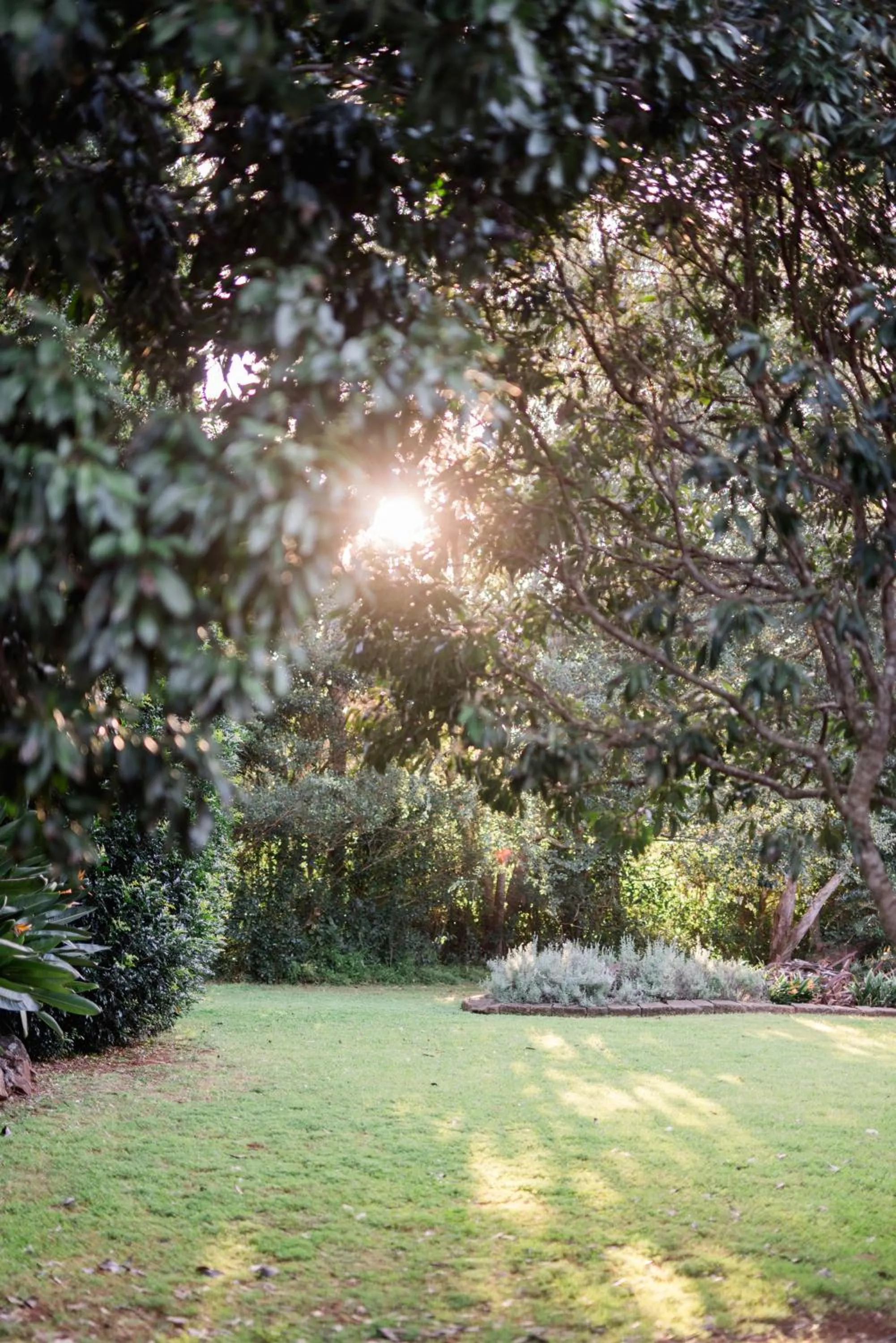 Natural landscape in Shambala Estate Cottages