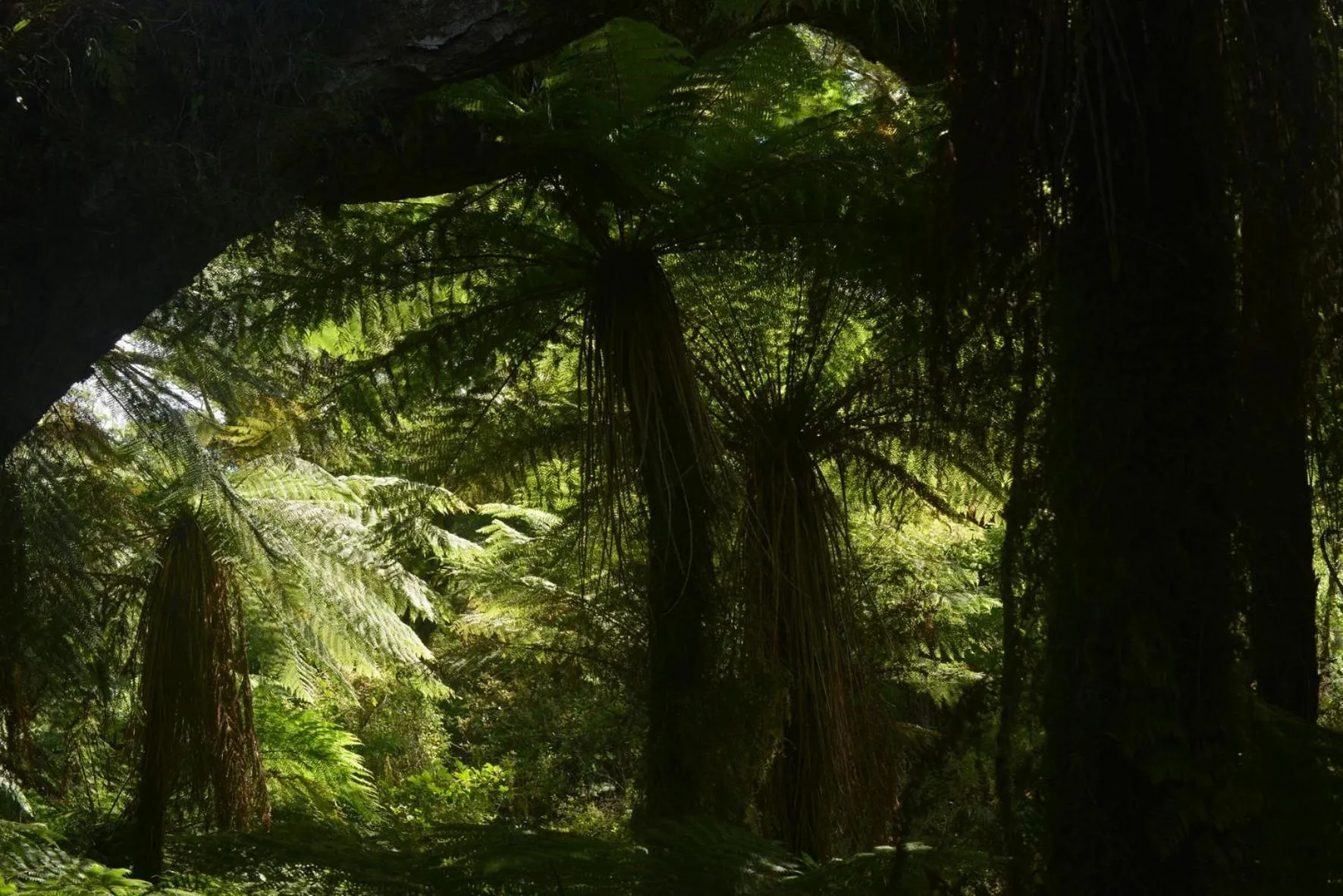 Natural landscape in Wilderness Motel Accommodation