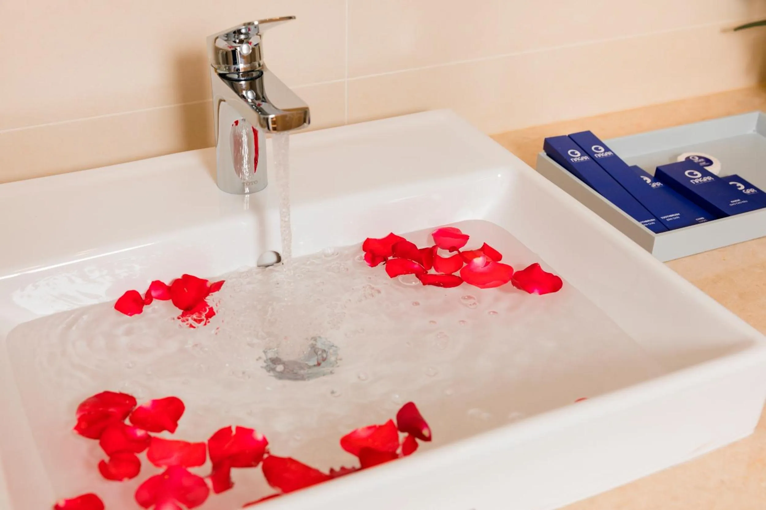 Nagar Hotel Nha Trang