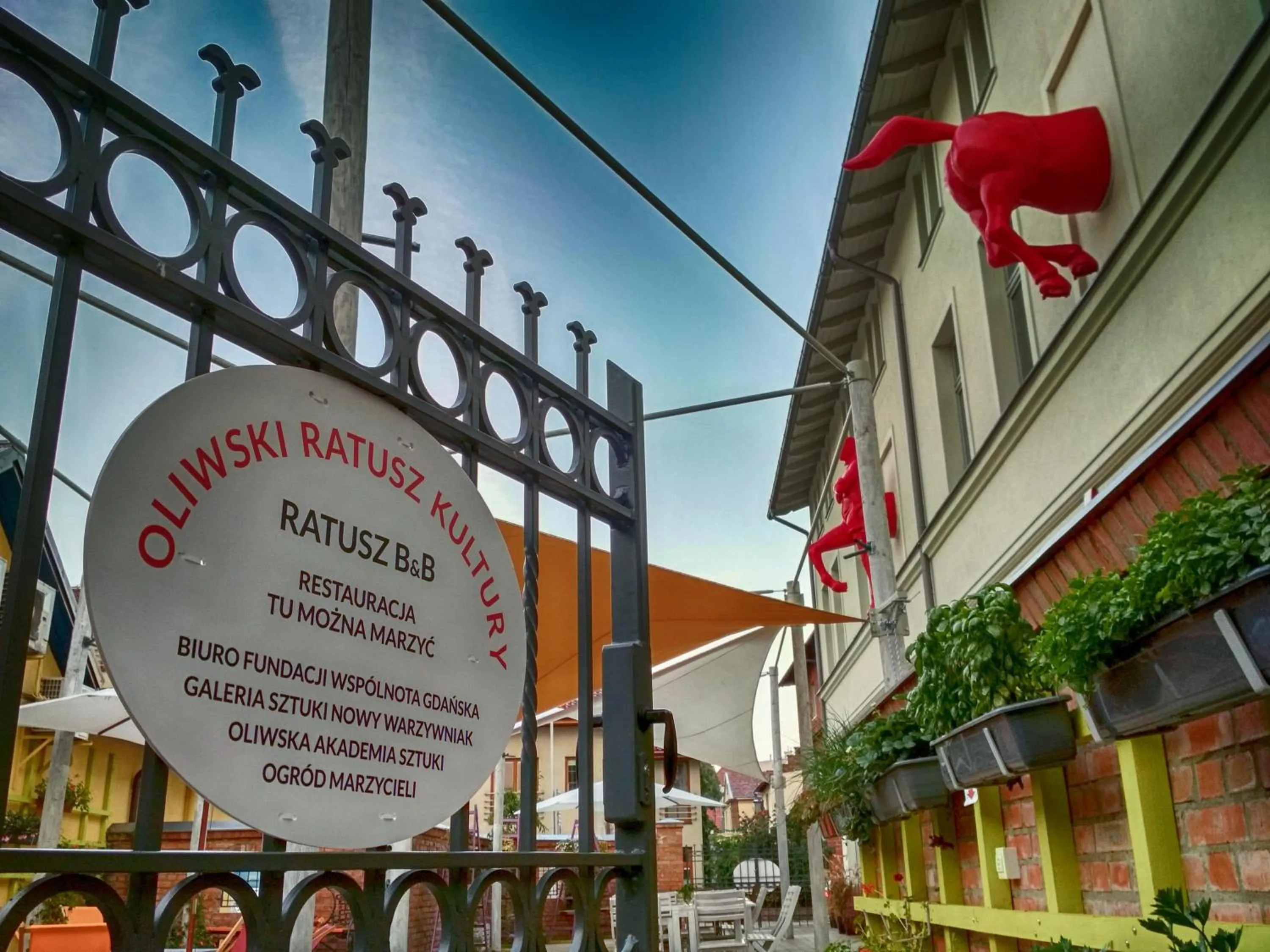 Garden in Ratusz B&B