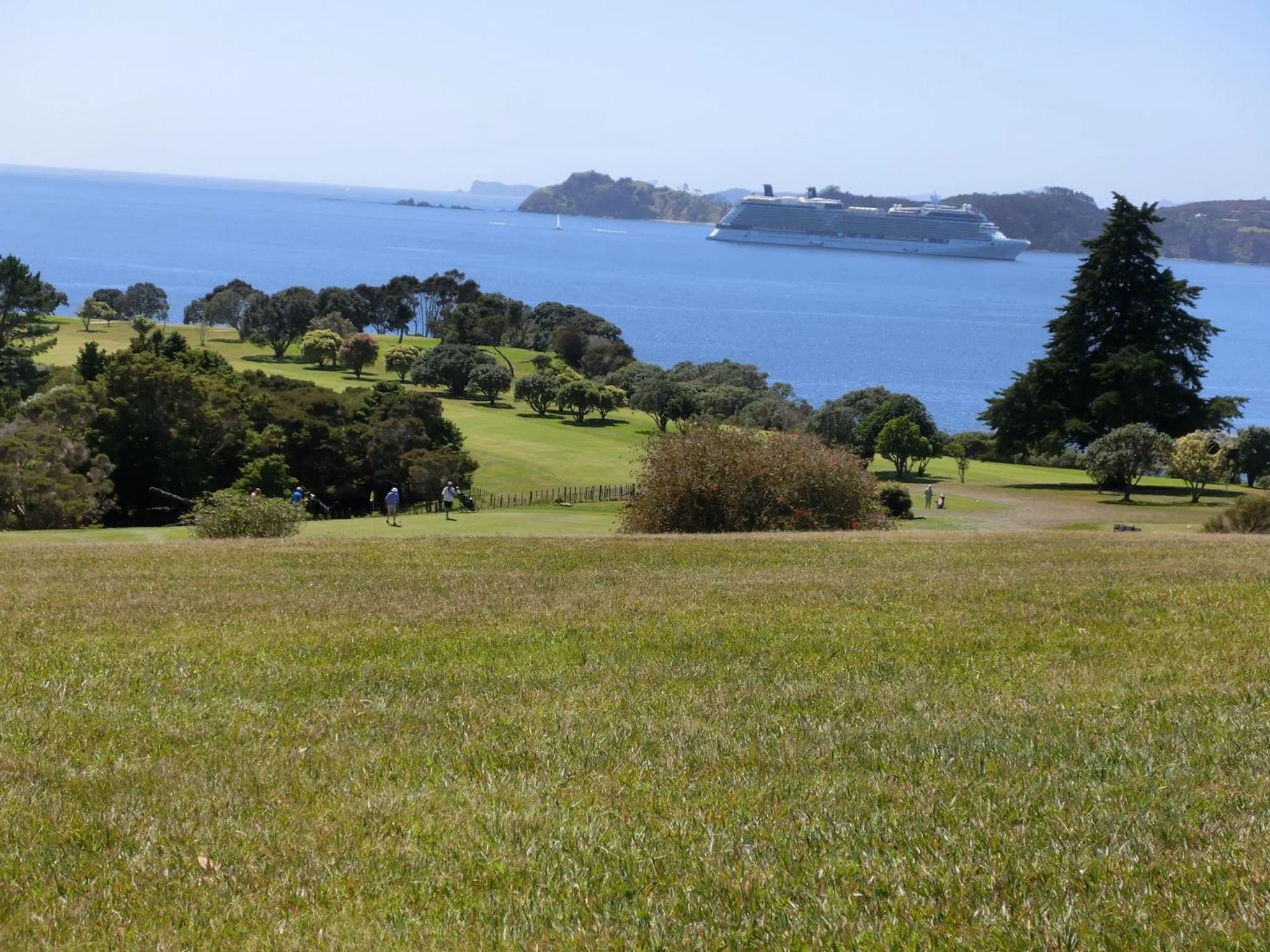 Natural landscape in Bounty Motel