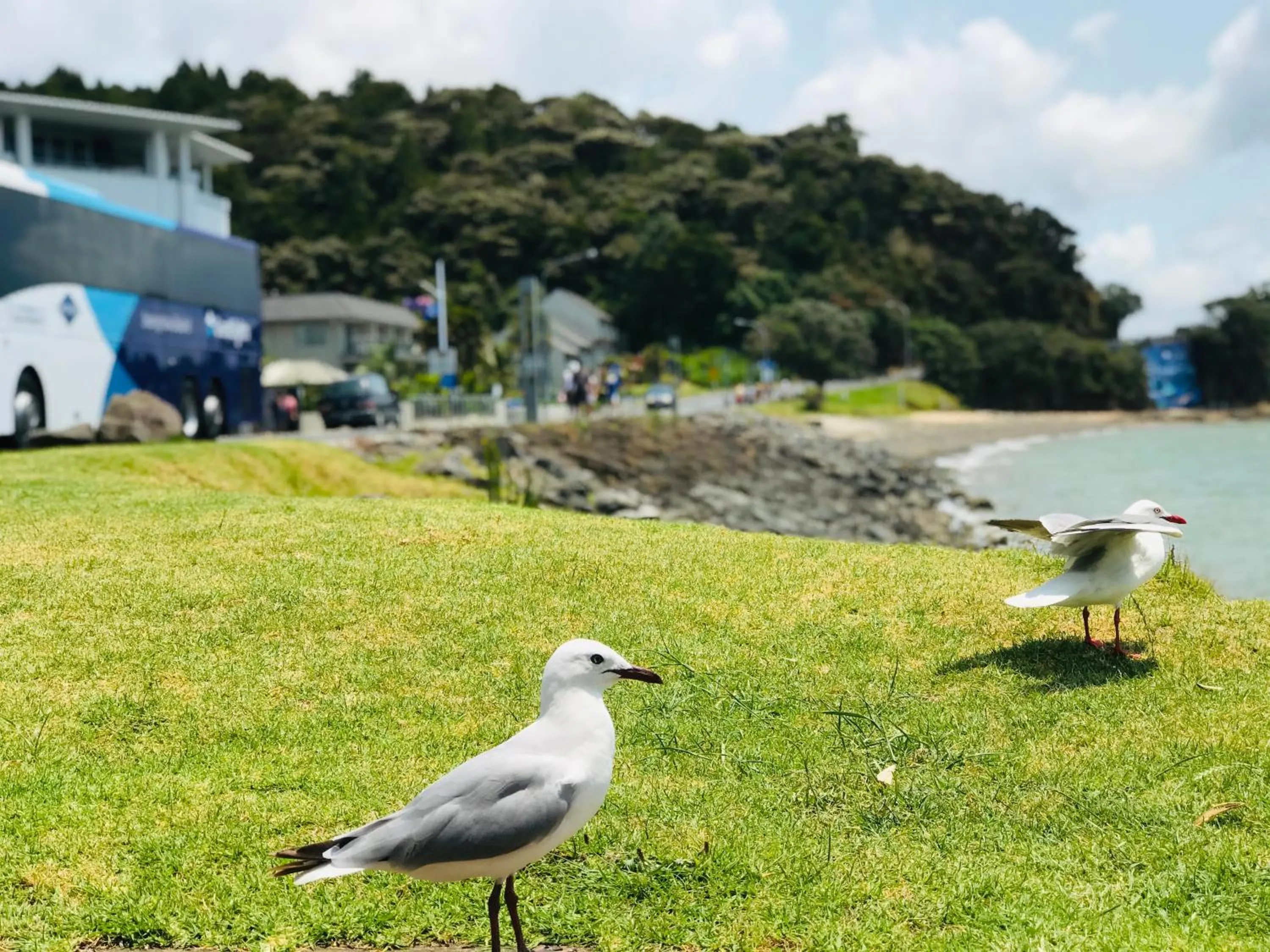 Nearby landmark in Bounty Motel